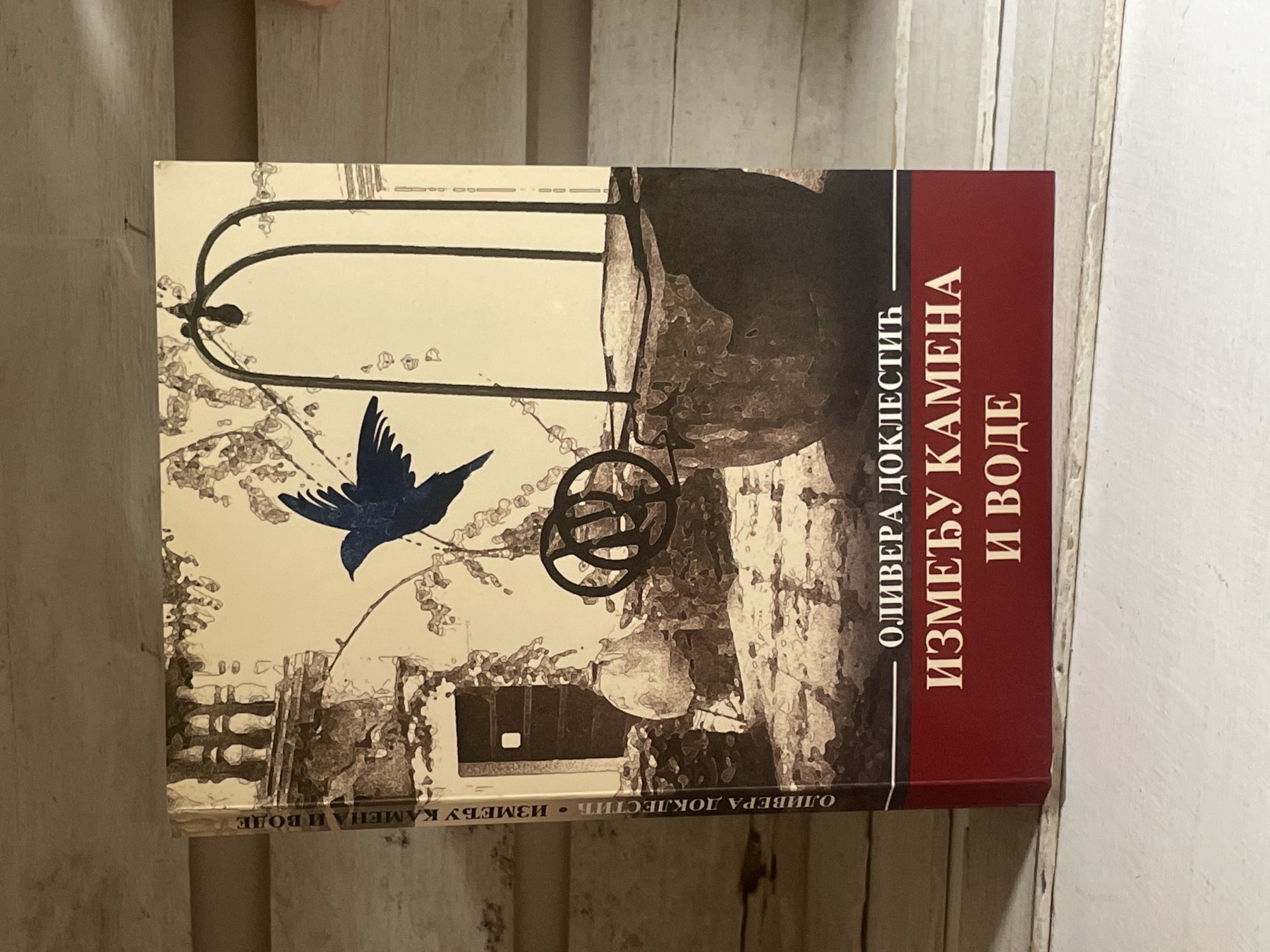 Između kamena i vode — Olivera Doklestić