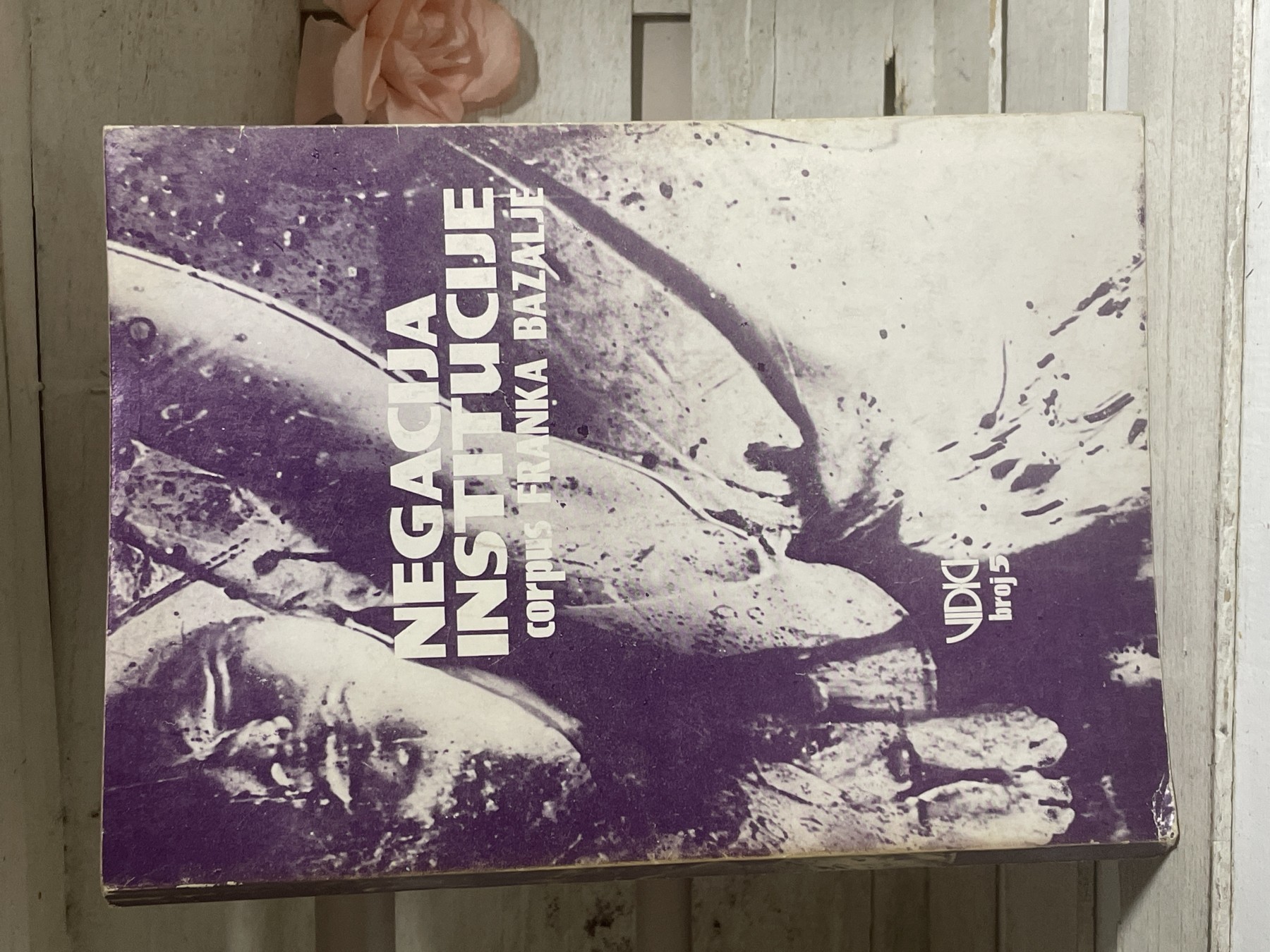 Negacija institucije — Franko Bazalja