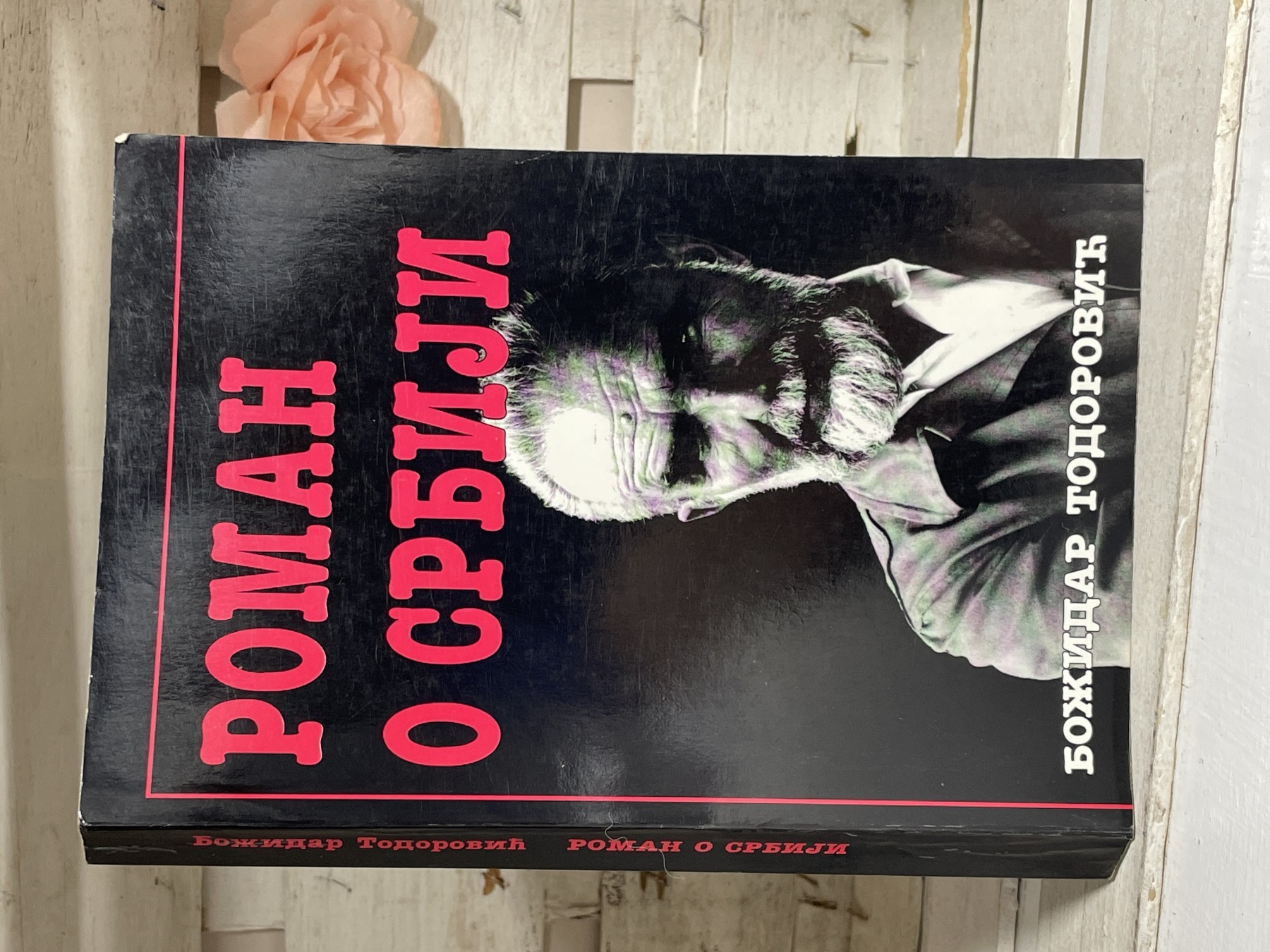 Roman o Srbiji — Božidar Todorović