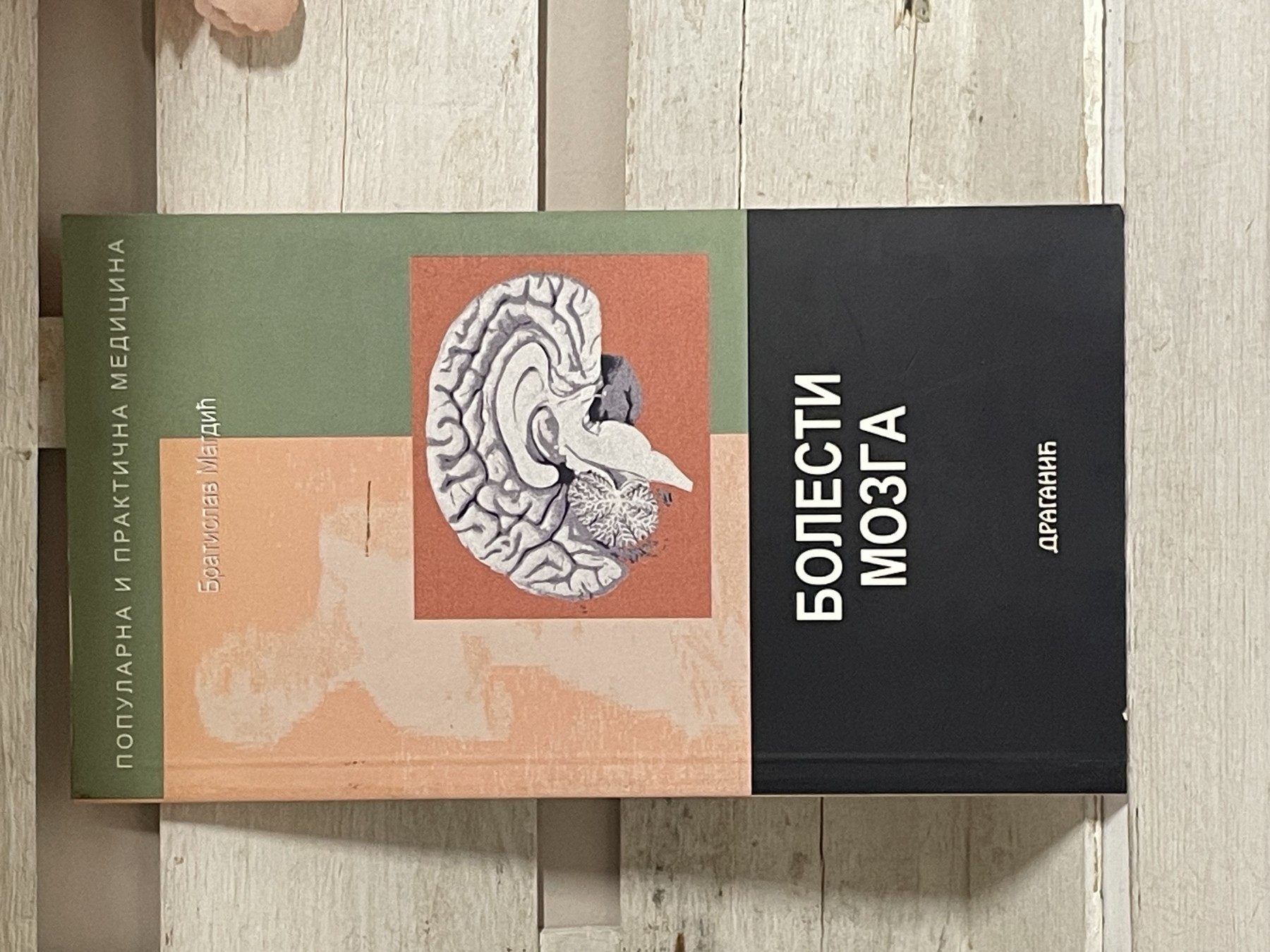 Bolesti mozga — Bratislav Magdić