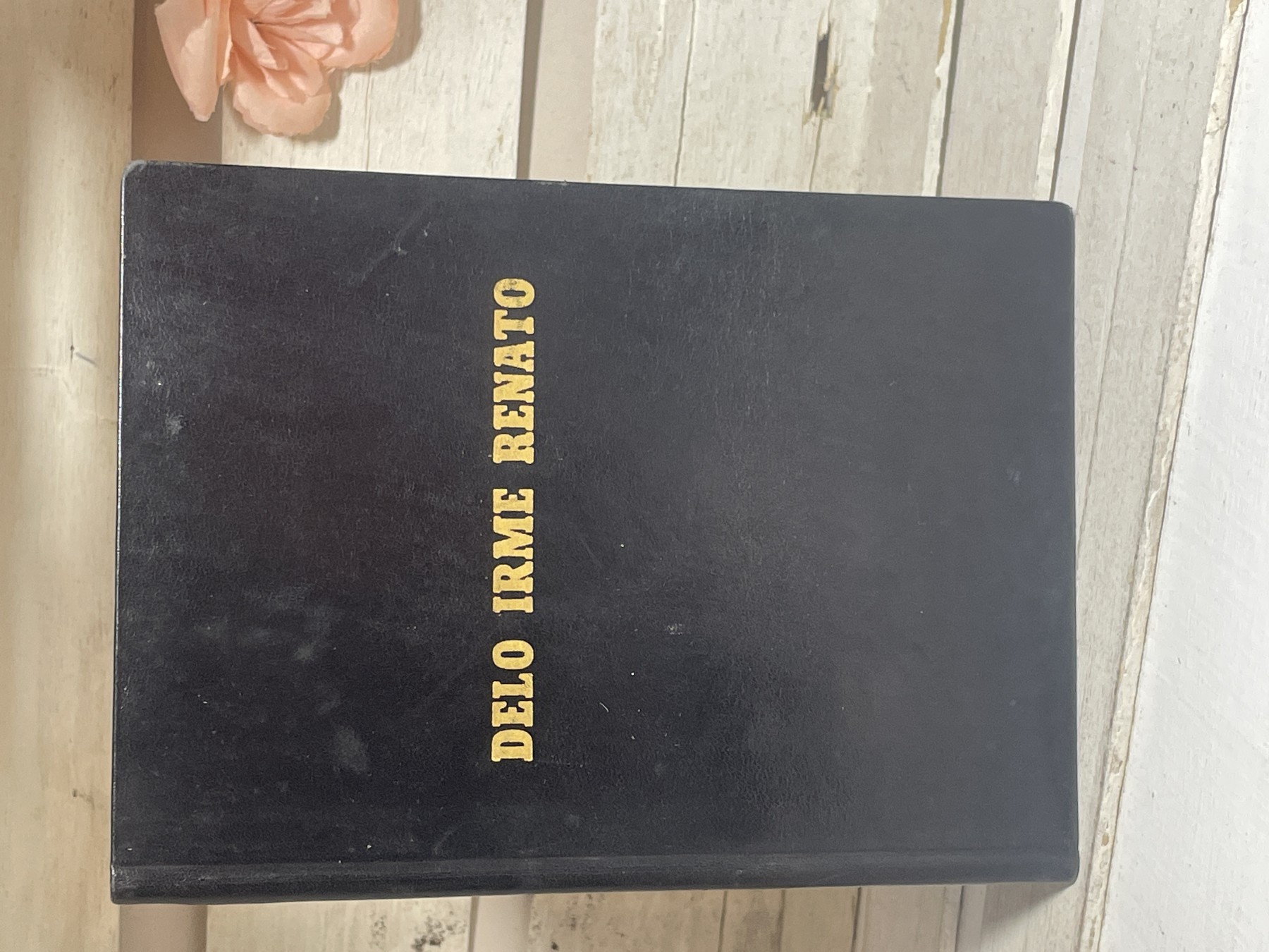 Delo Irme Renato — V. Fjodorov