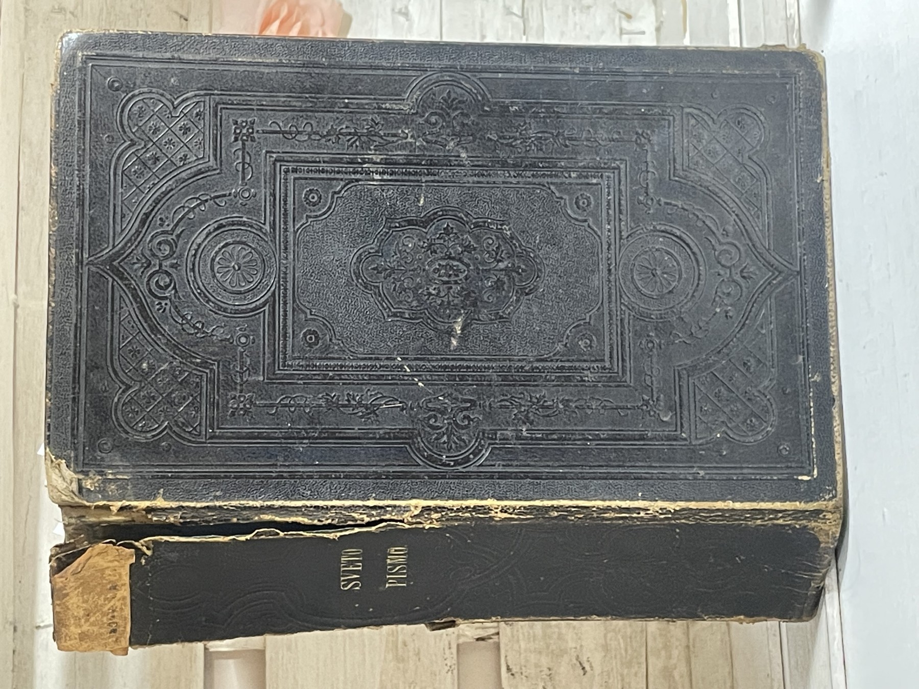 Sveto pismo (1868) — Vuk Karadžić i Đura Daničić