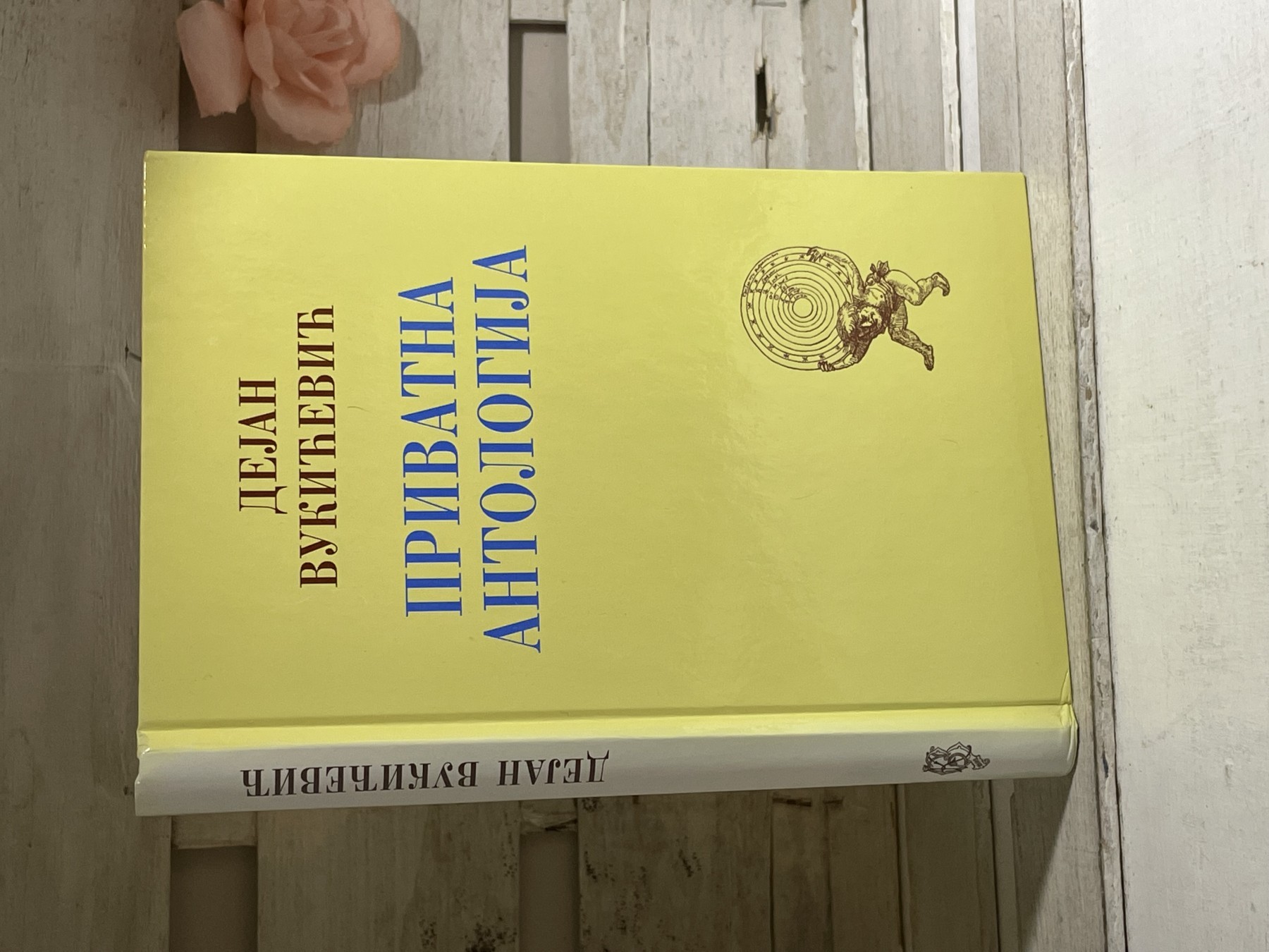 Privatna antologija — Dejan Vukićević