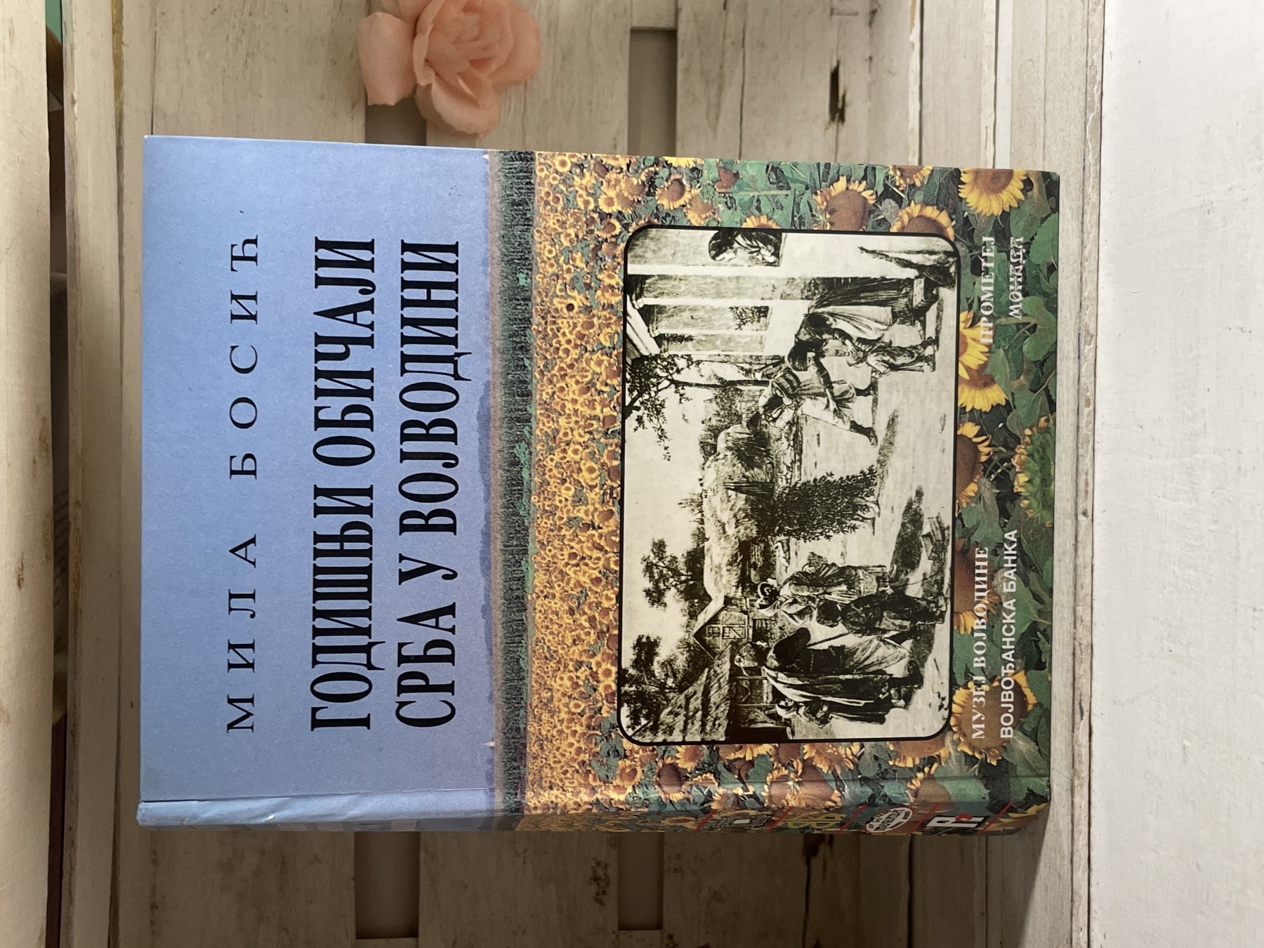 Godišnji običaji Srba u Vojvodini — Mila Bosić
