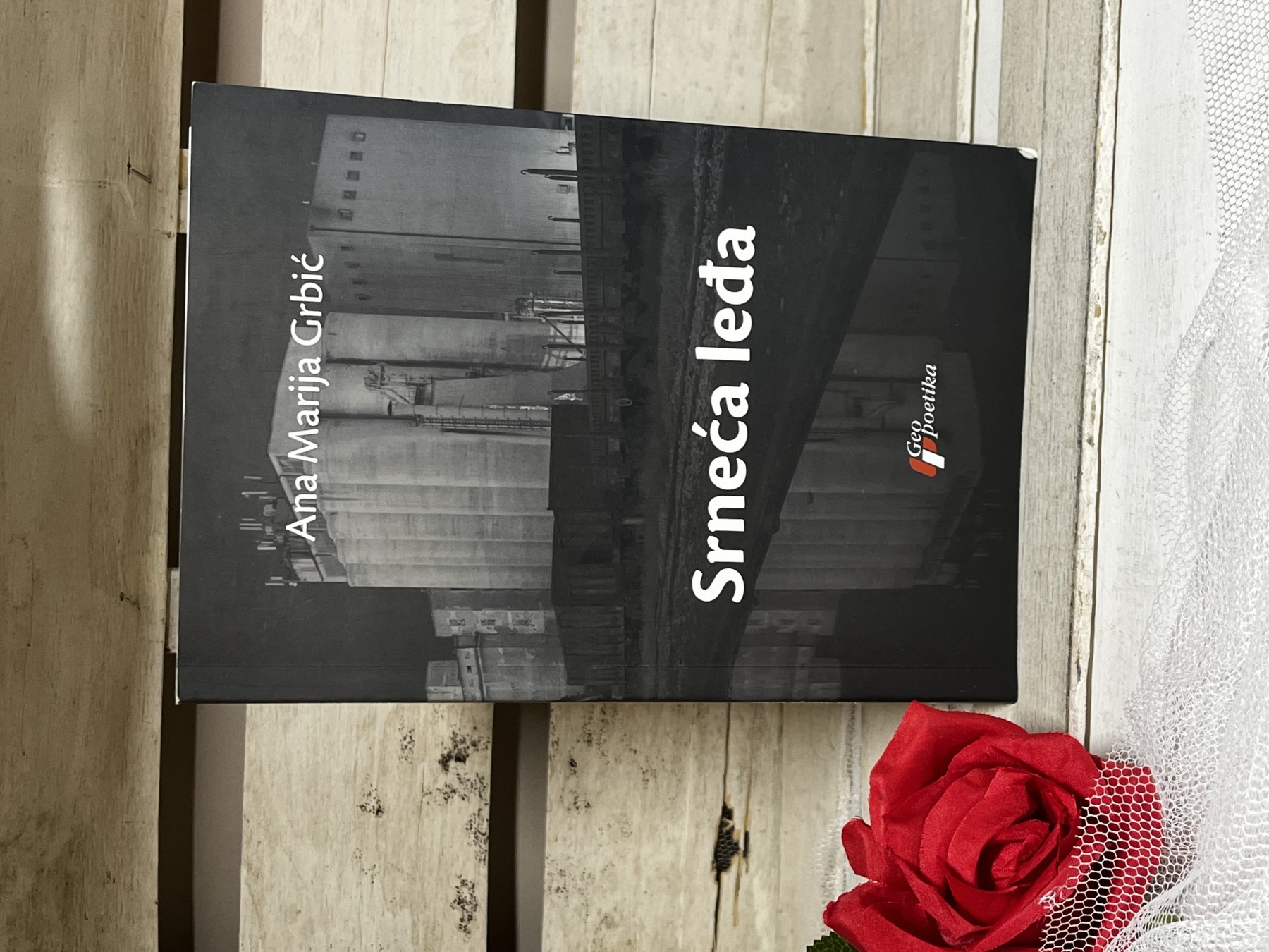 Srneća leđa — Ana Marija Grbić