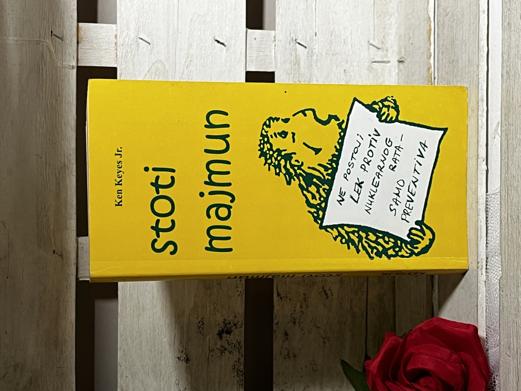 Stoti majmun — Ken Kejz Mlađi
