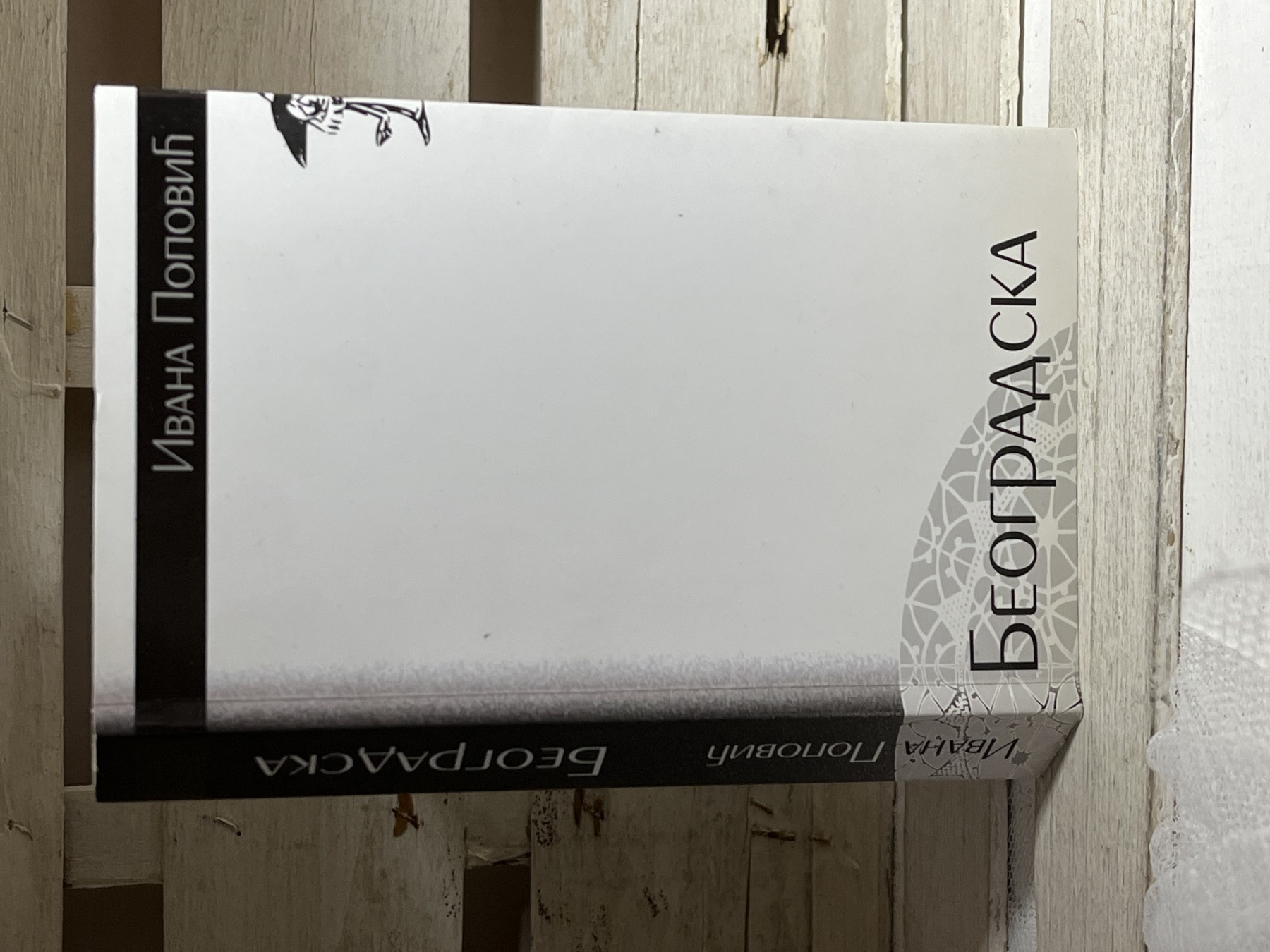 Beogradska — Ivana Popović