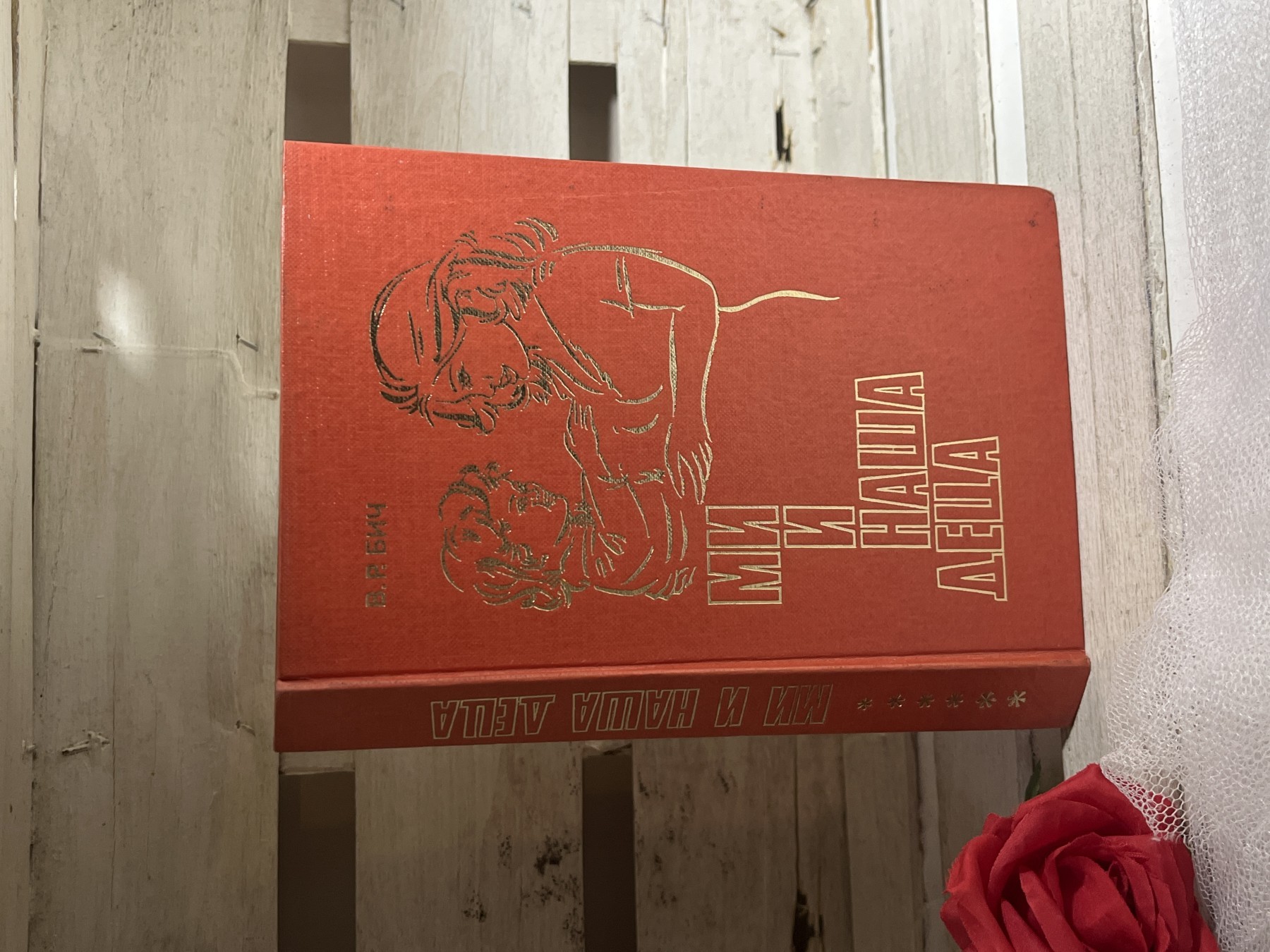Mi i naša deca — V. R. Bič