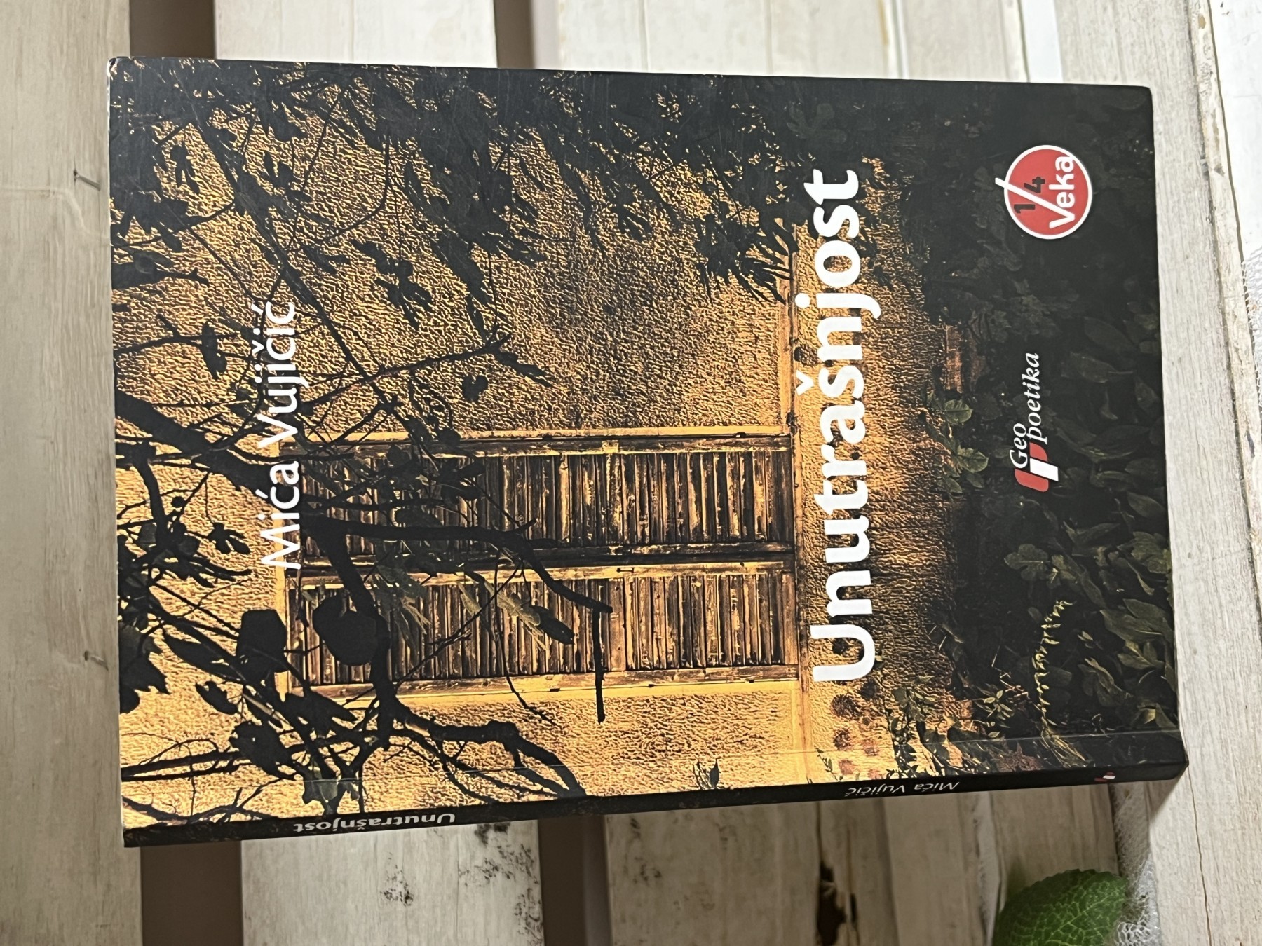 Unutrašnjost — Mića Vujičić