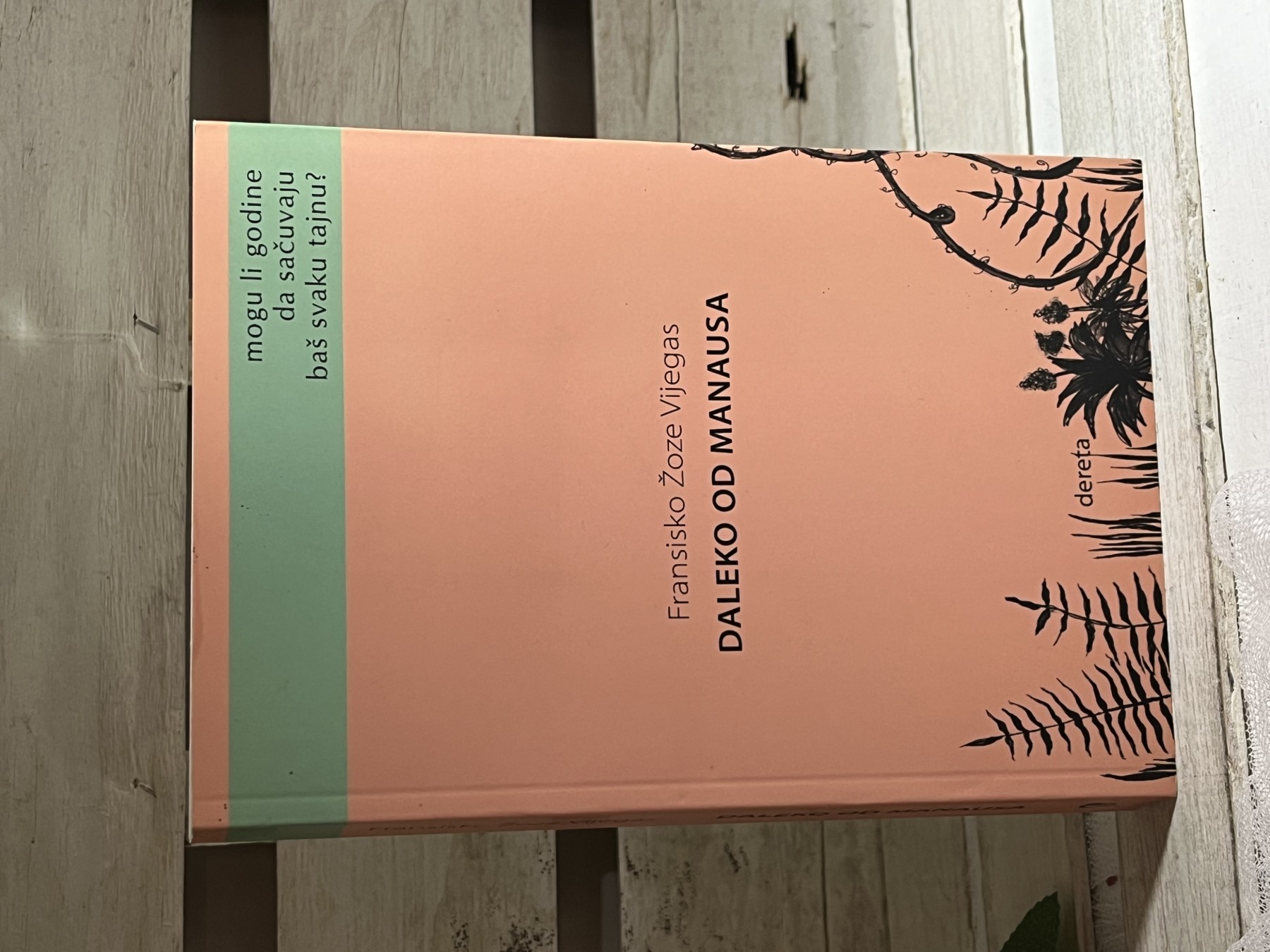 Daleko od Manausa — Fransisko Žoze Vijegas