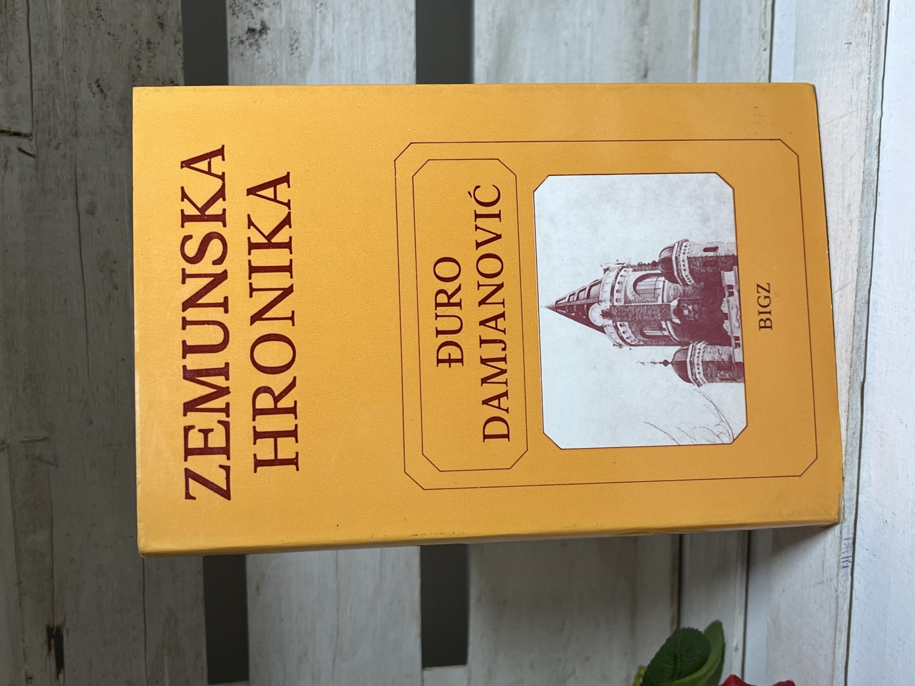 Zemunska hronika — Đuro Damjanović