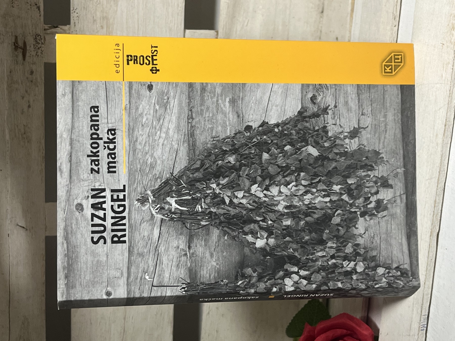 Zakopana mačka — Suzan Ringel