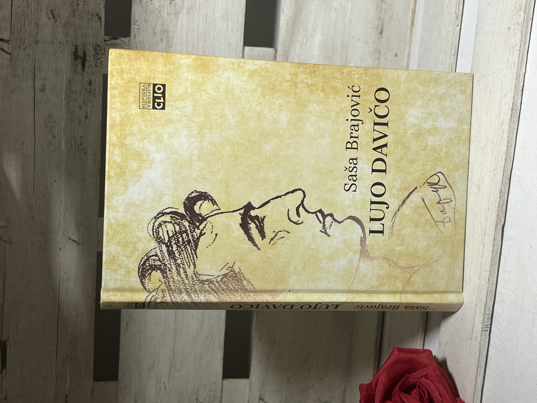 Lujo Davičo — Saša Brajović