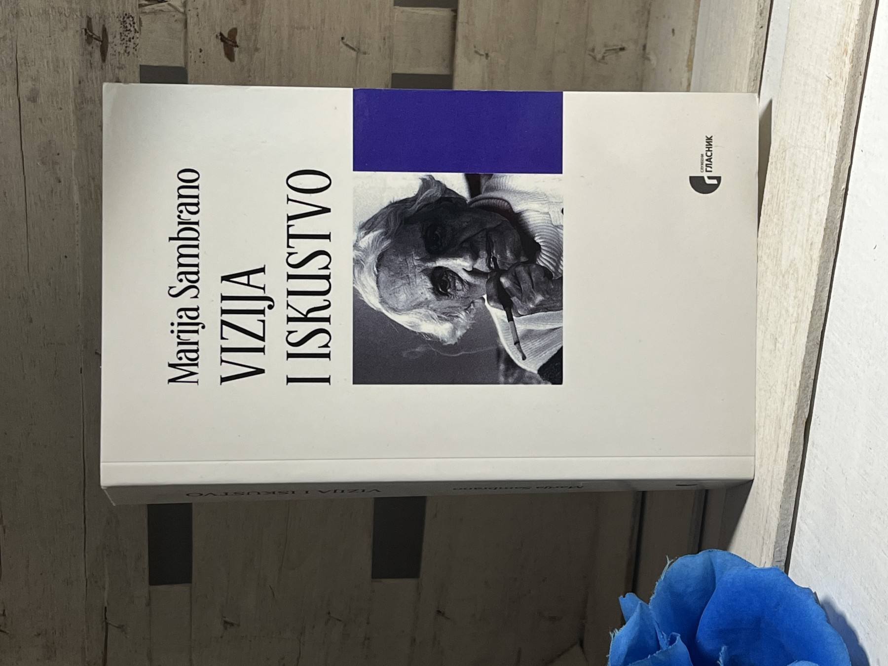 Vizija i iskustvo — Marija Sambrano