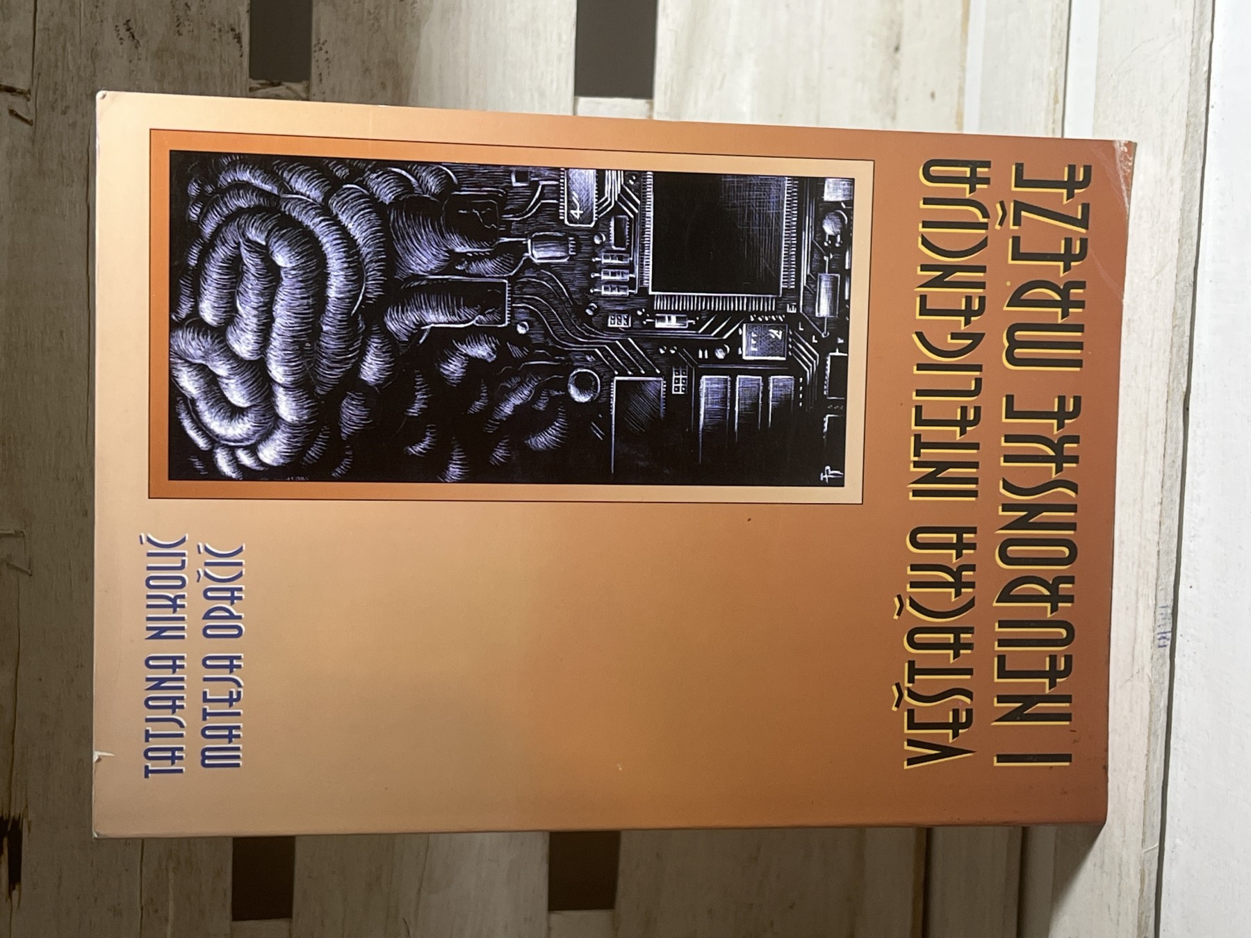 Veštačka inteligencija i neuronske mreže