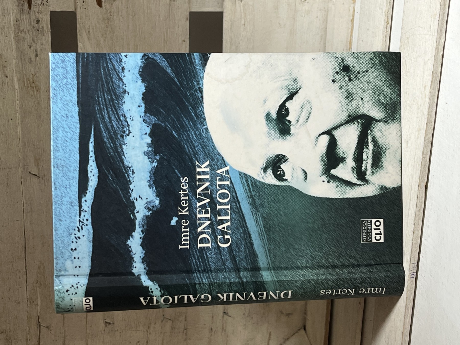 Dnevnik galiota — Imre Kertes