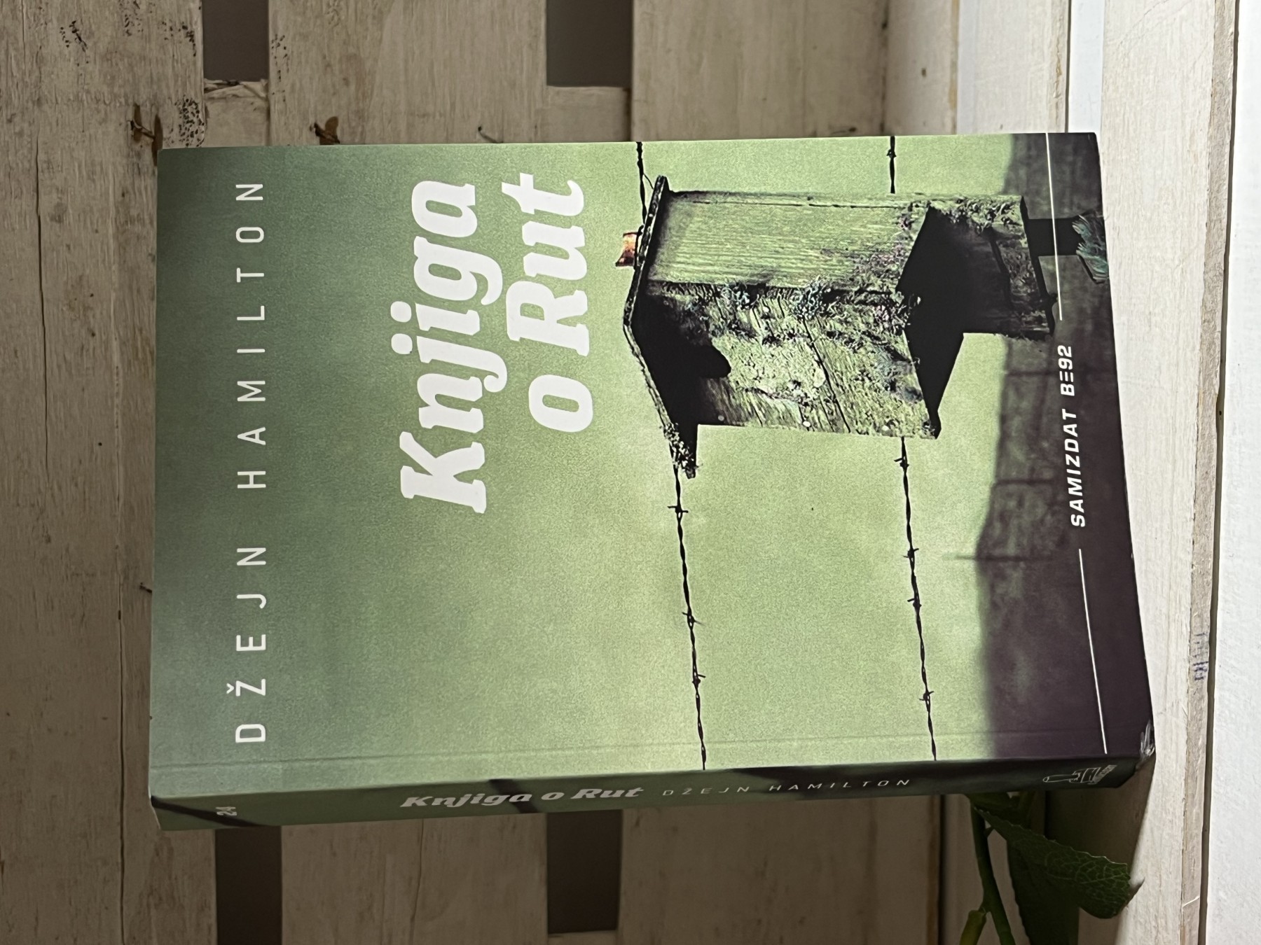Knjiga o Rut — Džejn Hamilton
