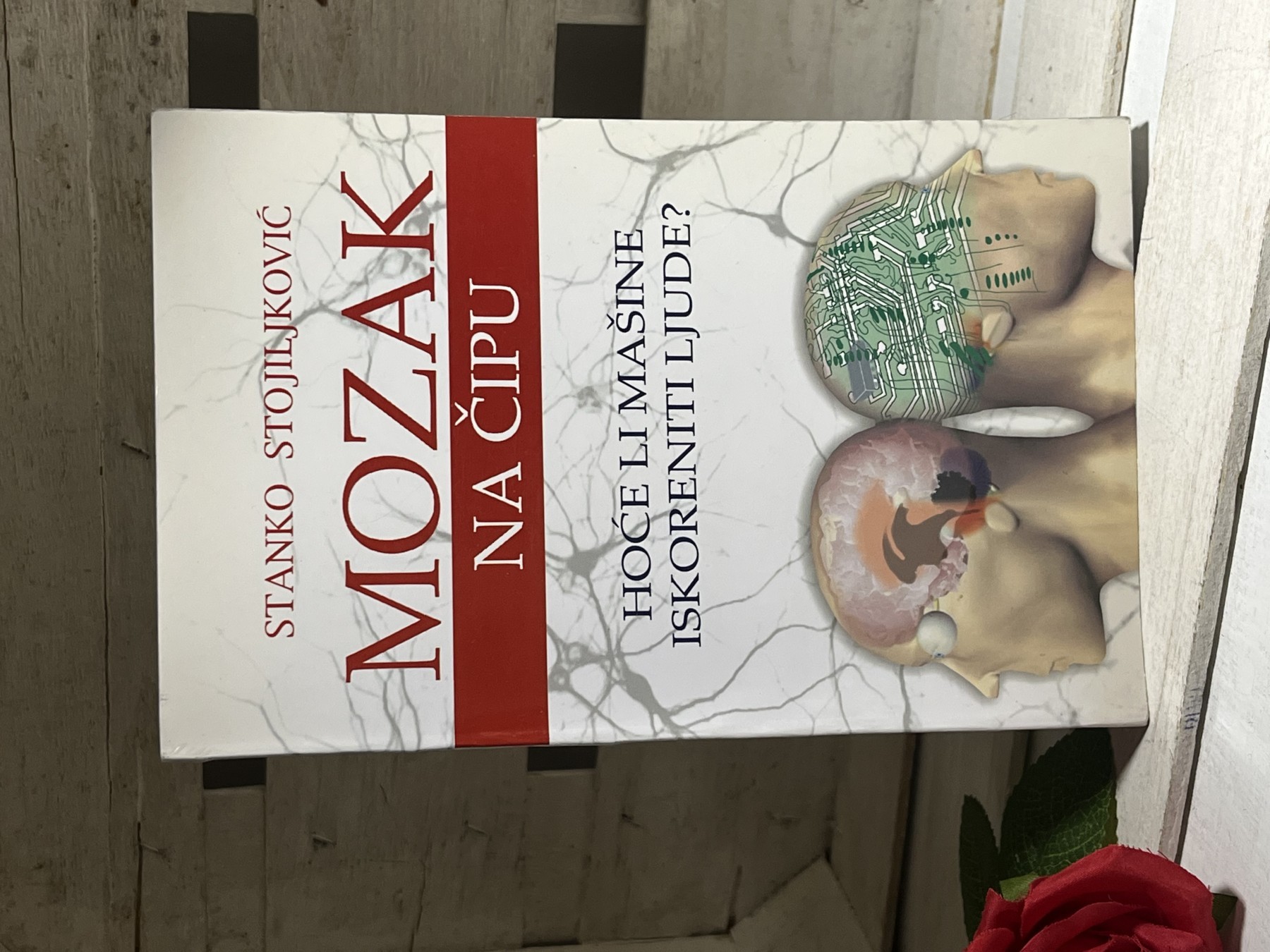 Mozak na čipu — Stanko Stojiljković