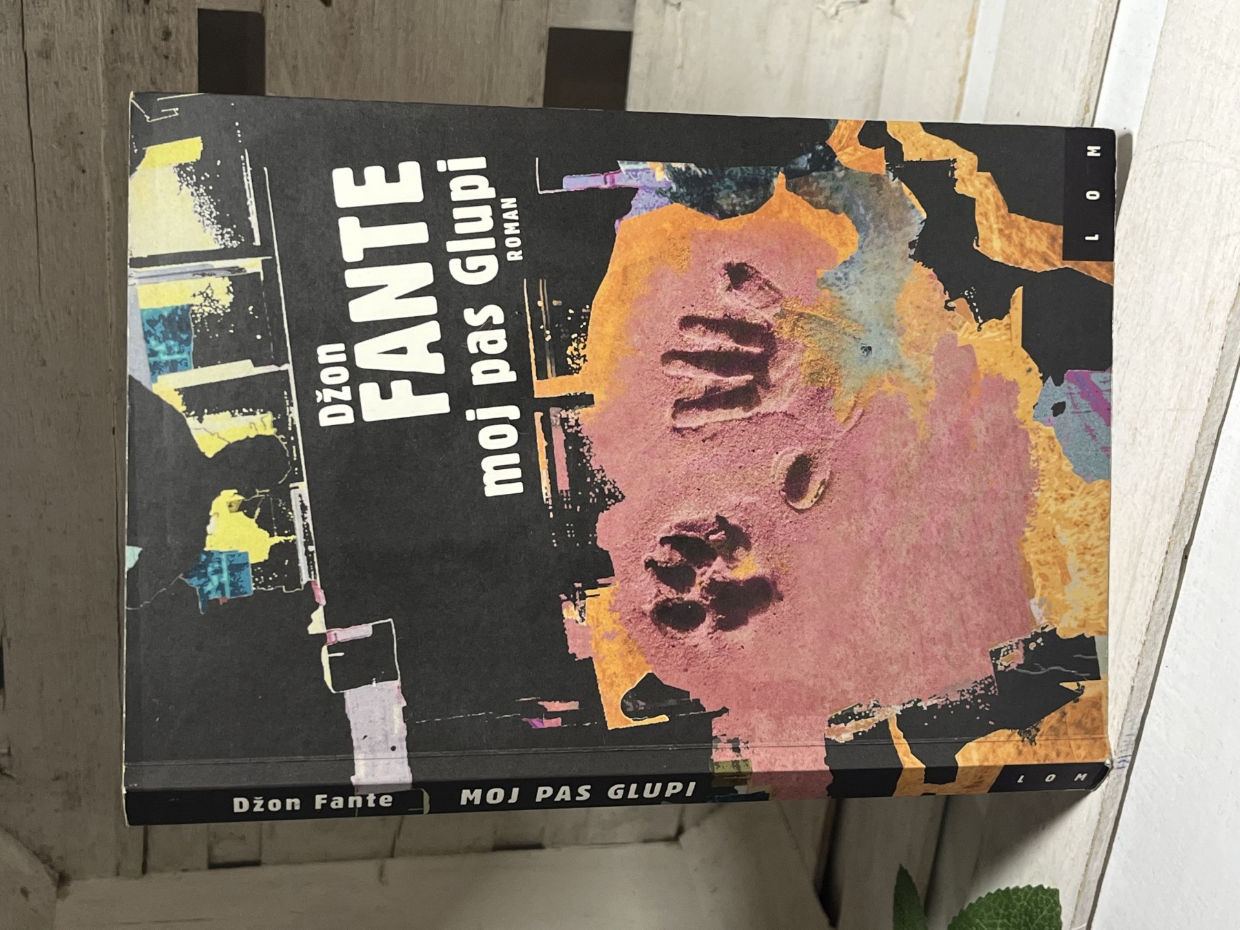 Moj pas glupi — Džon Fante