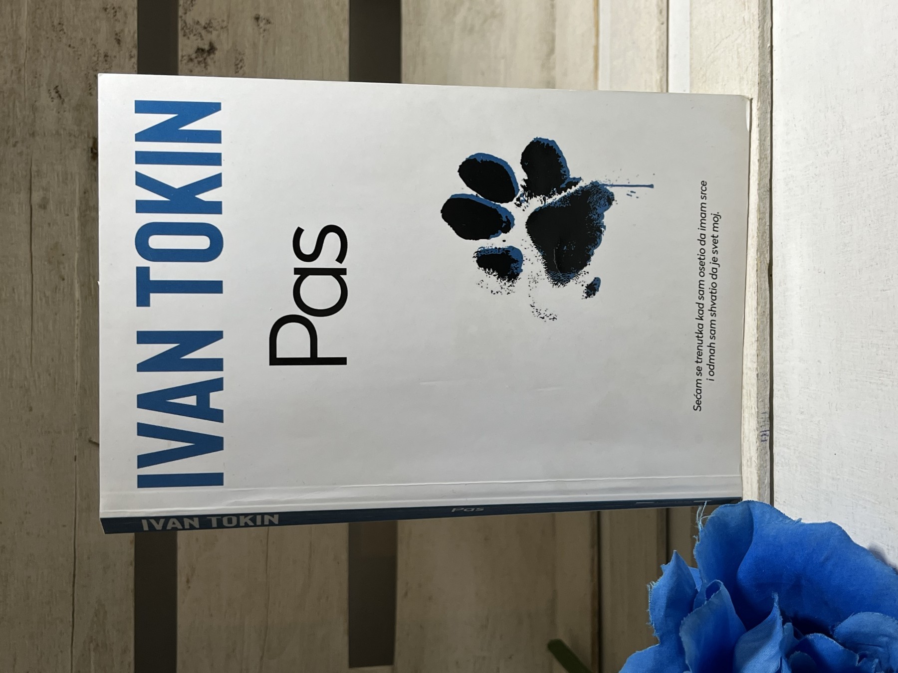 Pas — Ivan Tokin