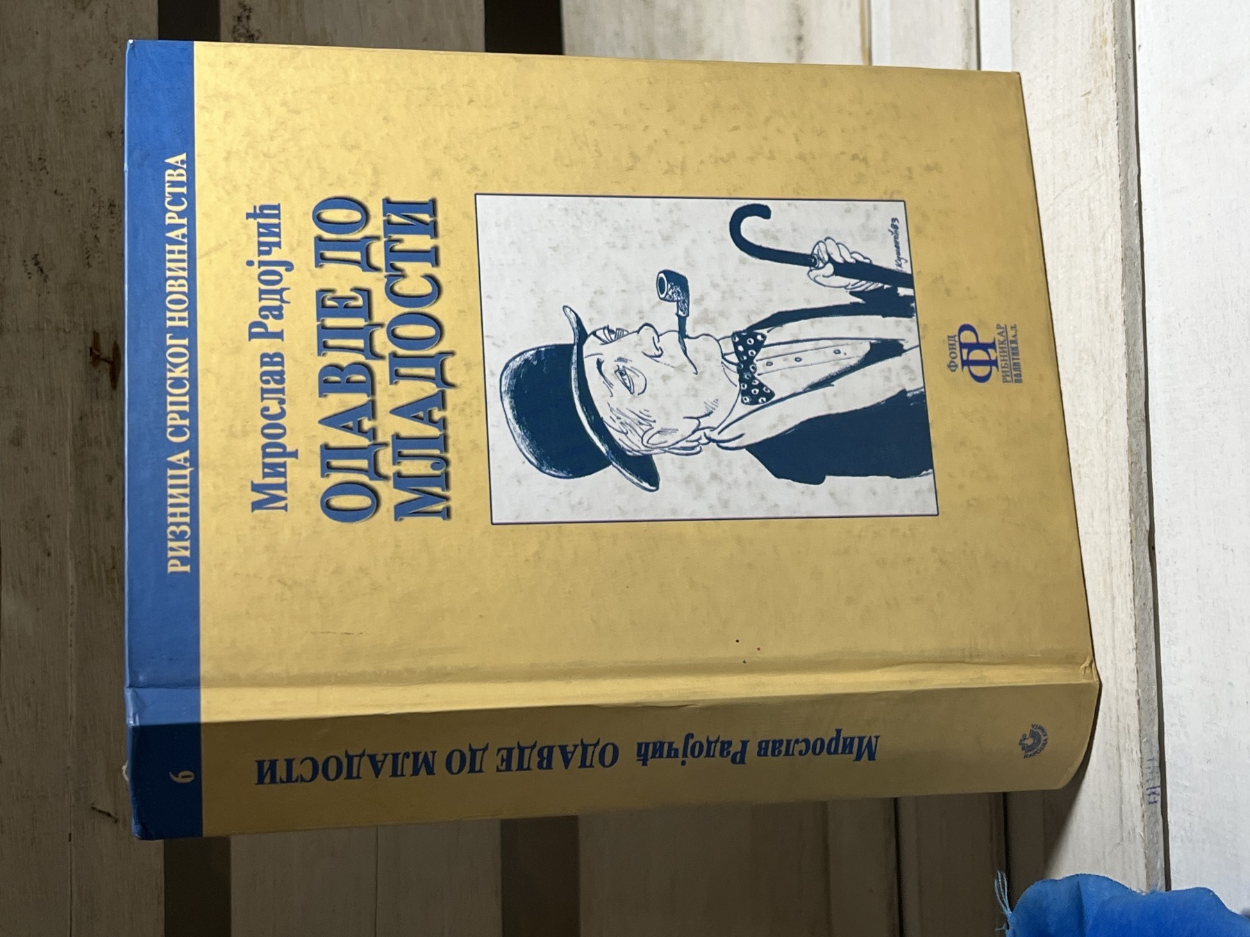 Odavde do mladosti — Miroslav Radojčić