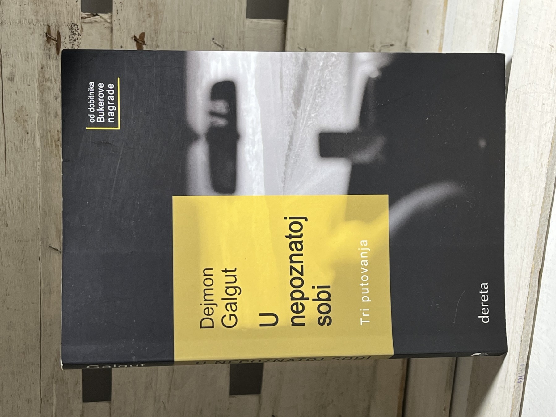 U nepoznatoj sobi — tri putovanja — Dejmon Galgut