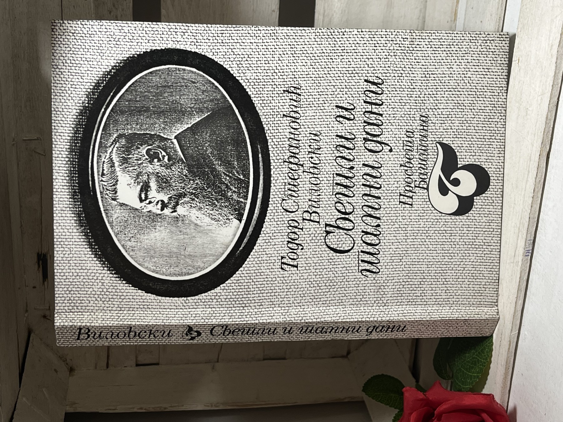Svetli i tamni dani — Todor Stefanović Vilovski