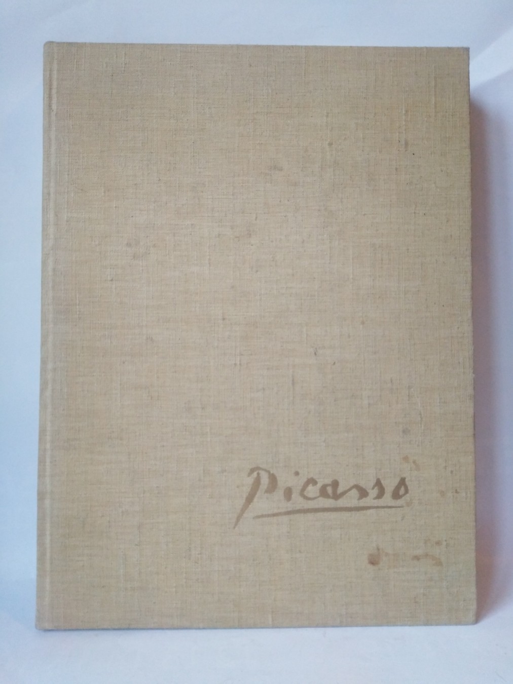 Picasso — monografija — Hans L. C. Jaffe