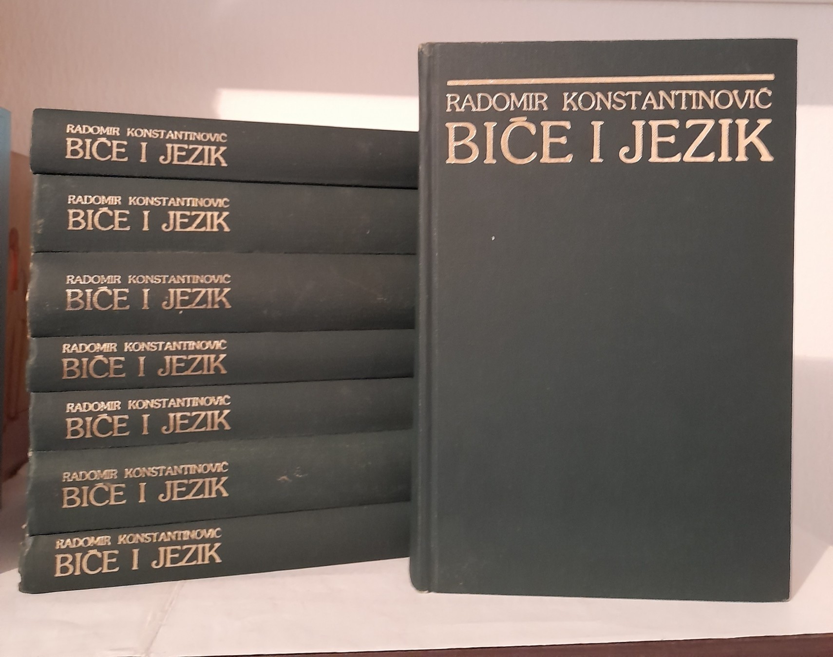 Biće i jezik 1–8 — Radomir Konstantinović