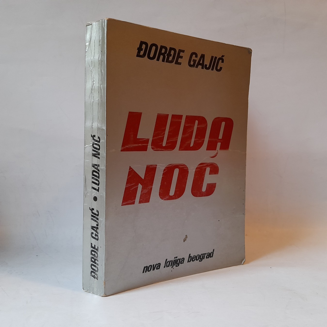 Luda noć — Đorđe Gajić