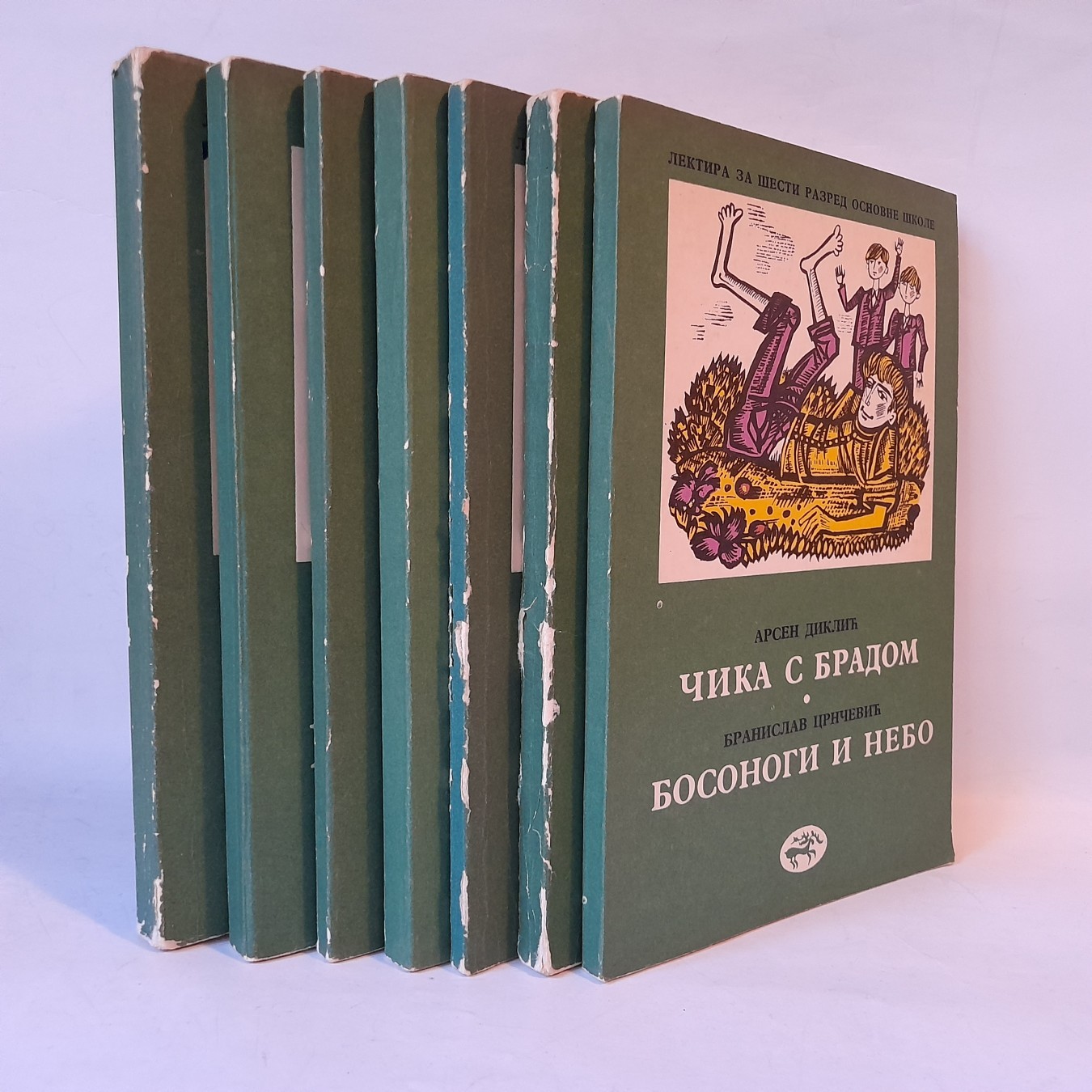 Lektira — komplet za šesti razred (7 knjiga)