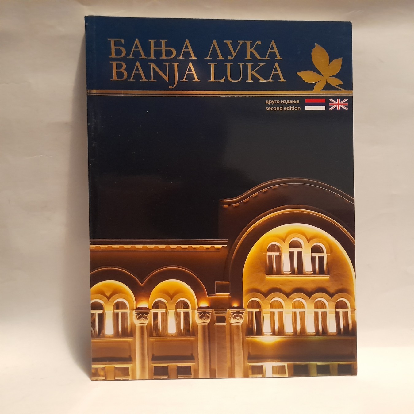 Banja Luka: alejama prošlosti — Zoran Pejašinović