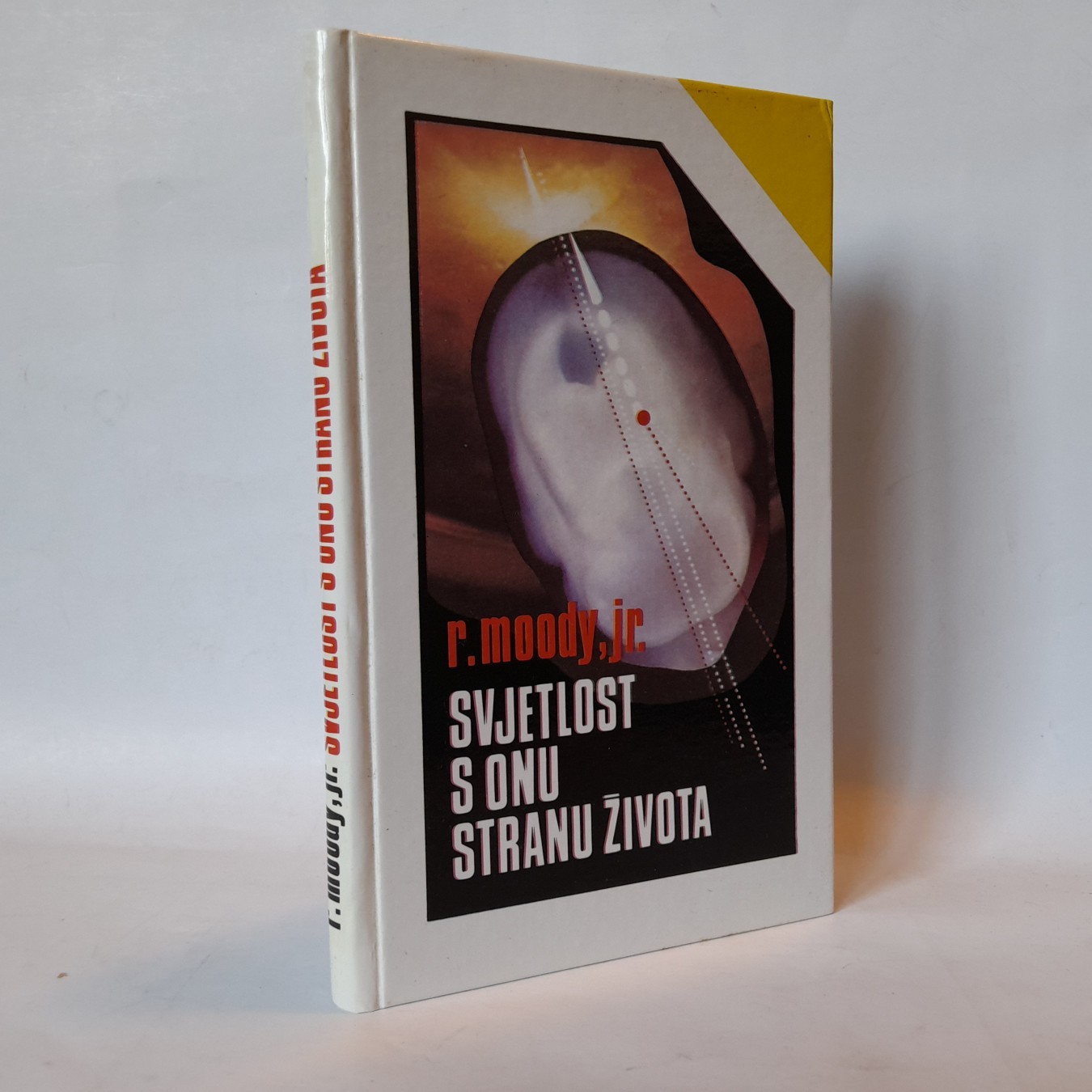Svjetlost s onu stranu života — Rejmond Mudi