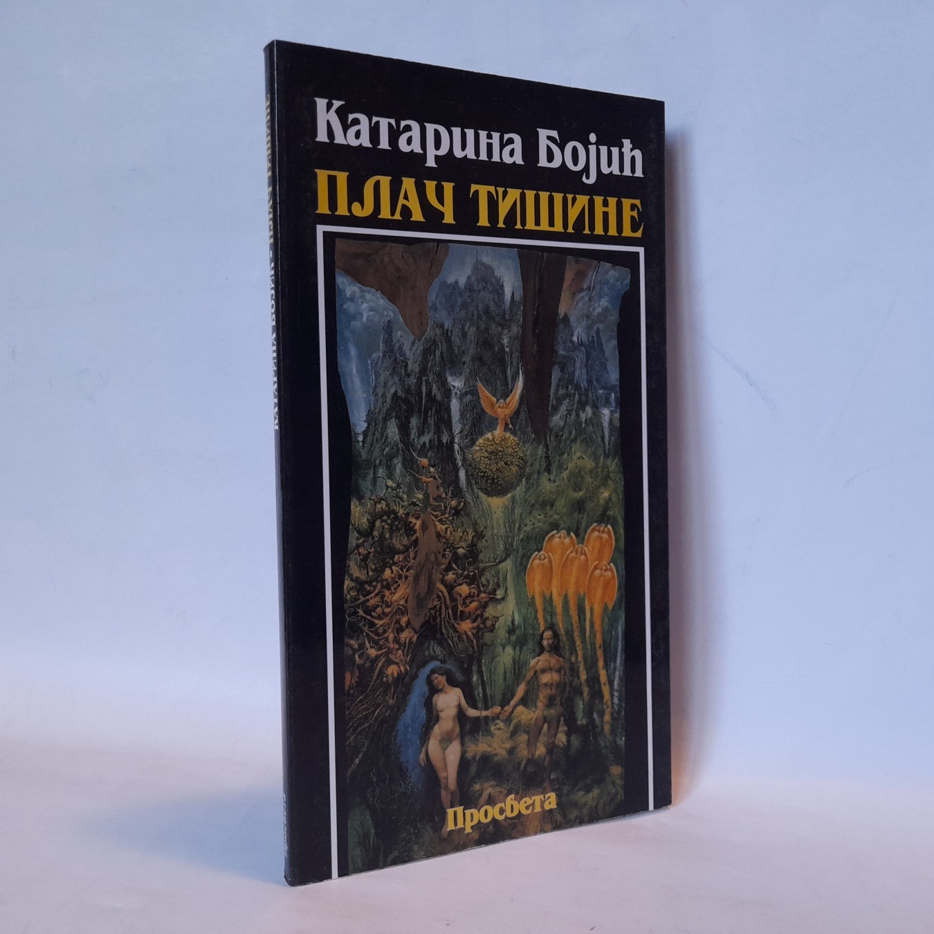 Plač tišine — Katarina Bojić