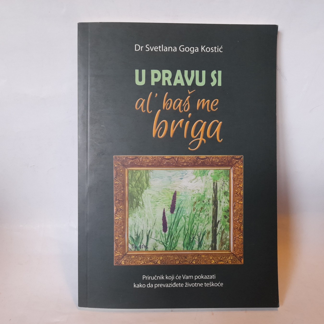 U pravu si, al baš me briga — Svetlana Goga Kostić