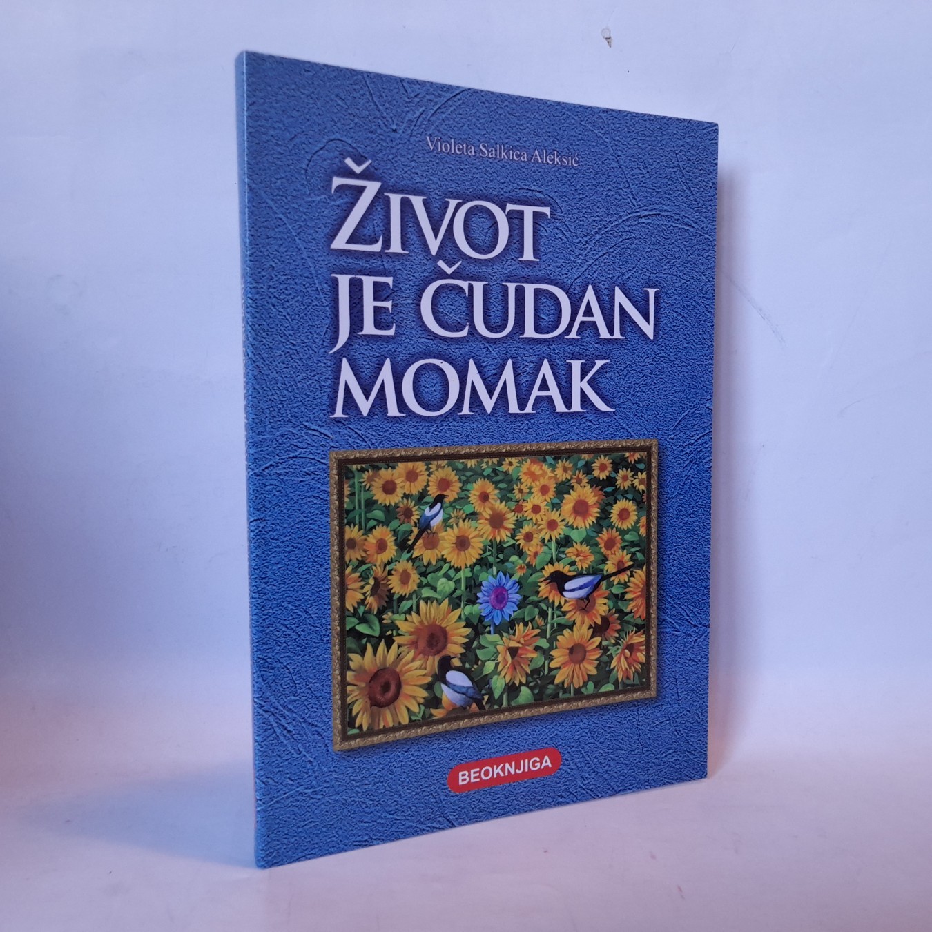Život je čudan momak — Violeta Salkica Aleksić