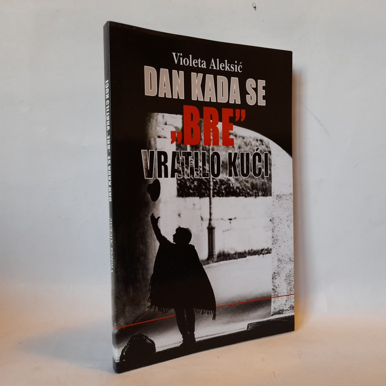 Dan kada se „Bre” vratilo kući — Violeta Aleksić