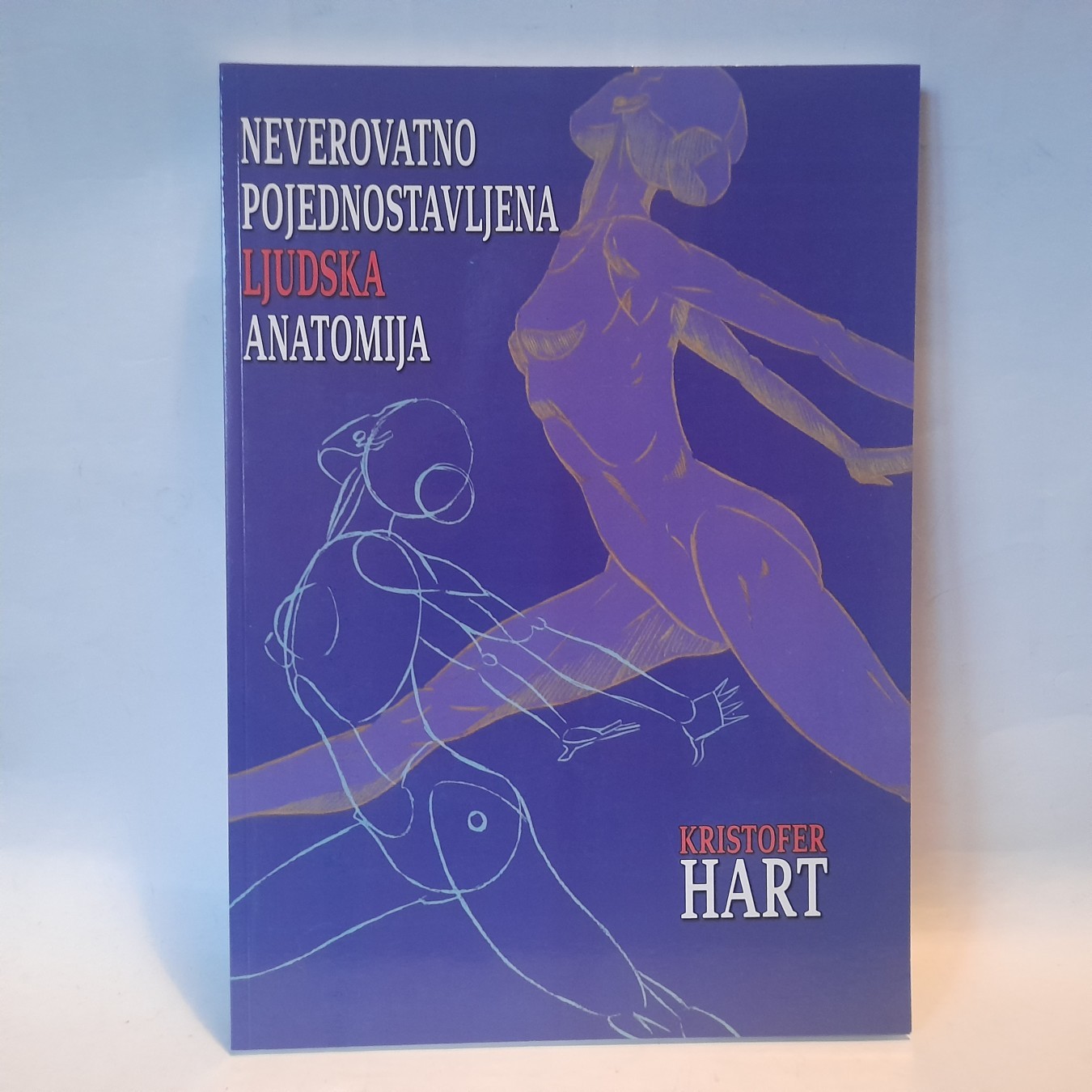 Neverovatno pojednostavljena ljudska anatomija