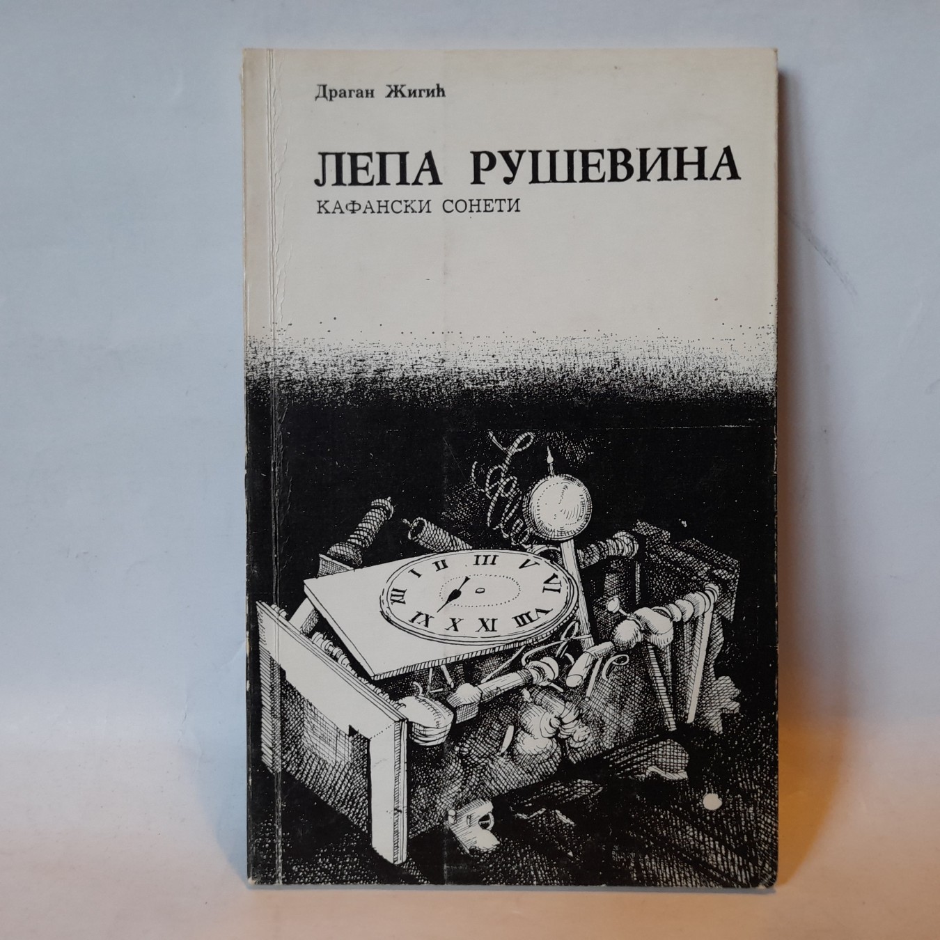 Lepa ruševina — Dragan Žigić