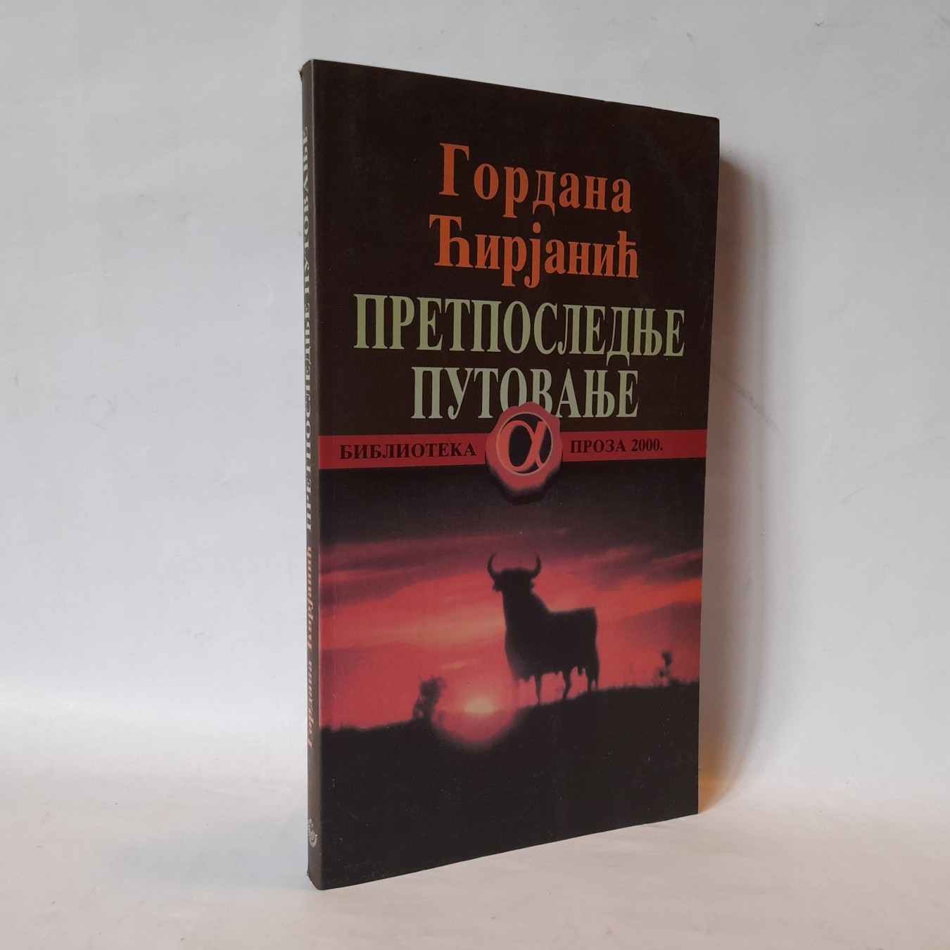 Pretposlednje putovanje — Gordana Ćirjanić