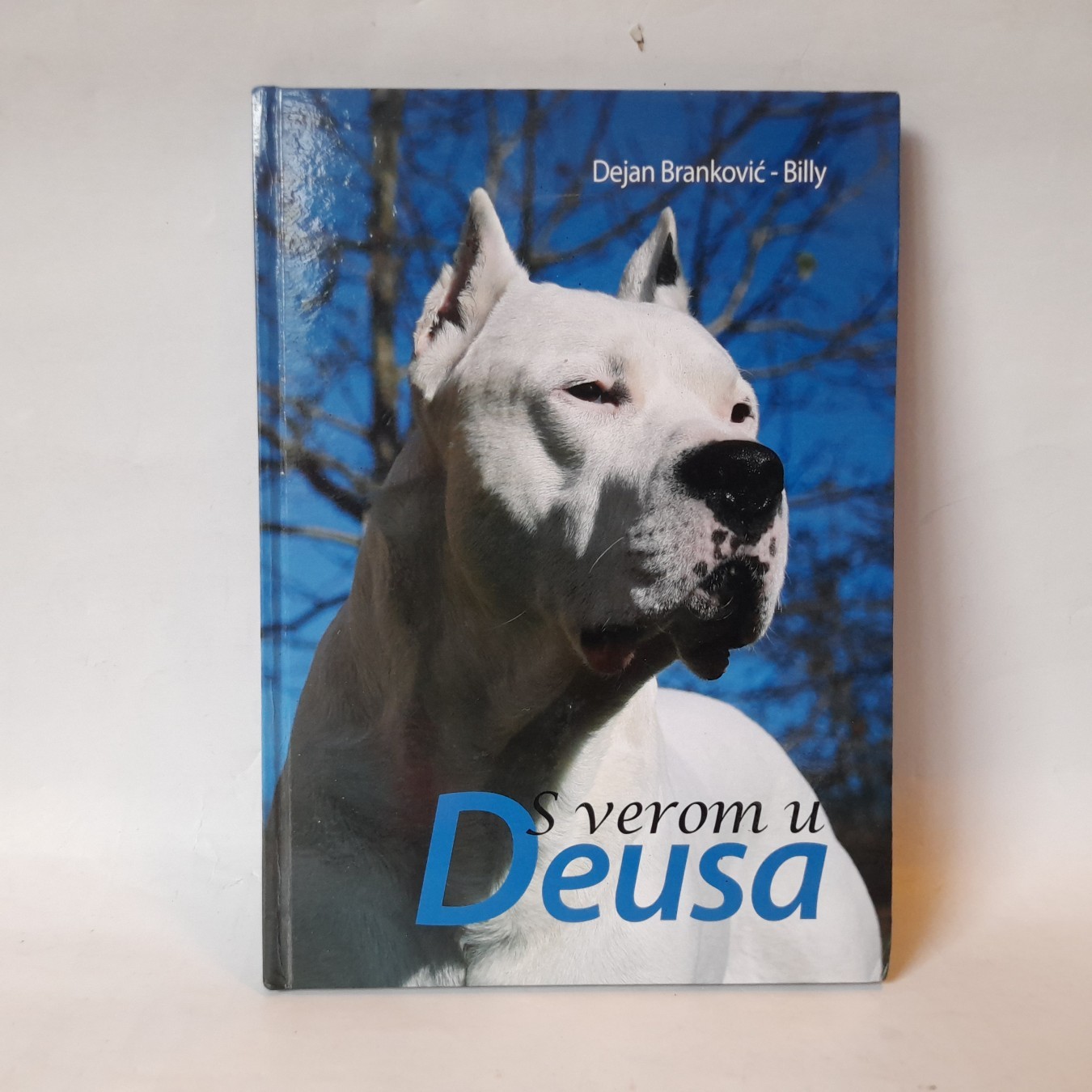 S verom u Deusa — Dejan Branković Billy