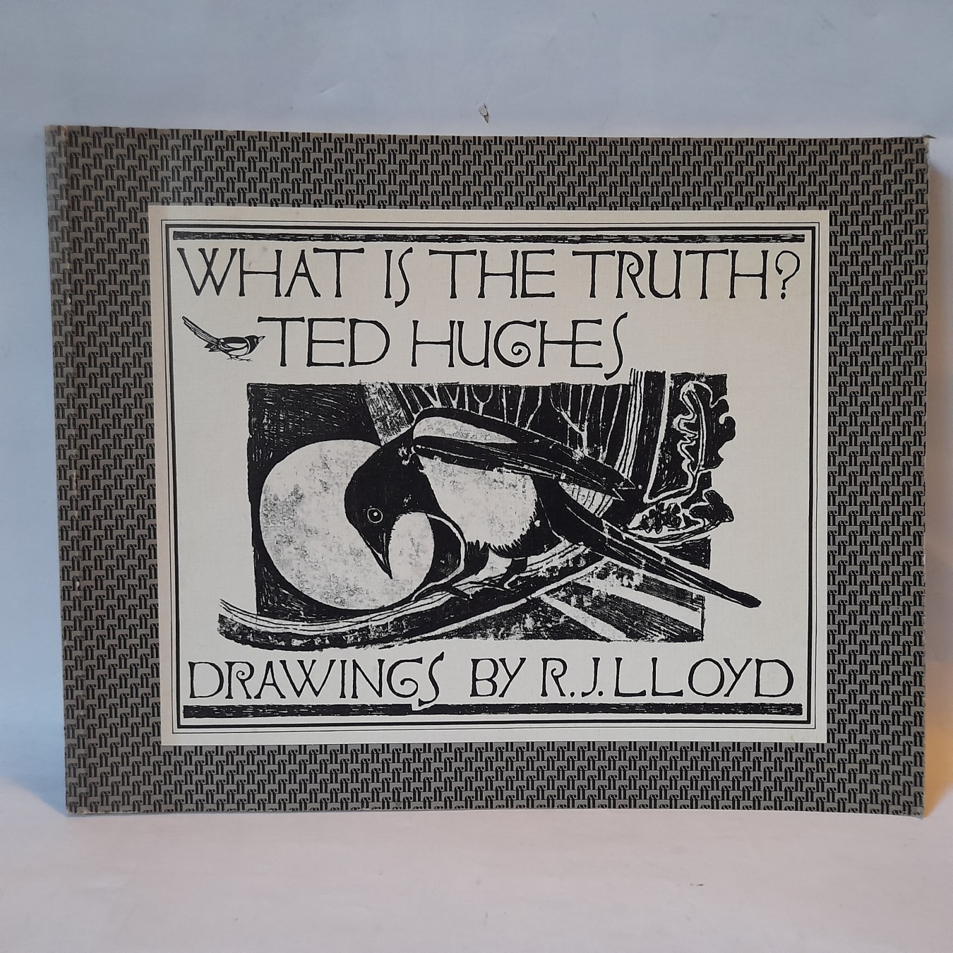 What Is the Truth? — Ted Hjuz