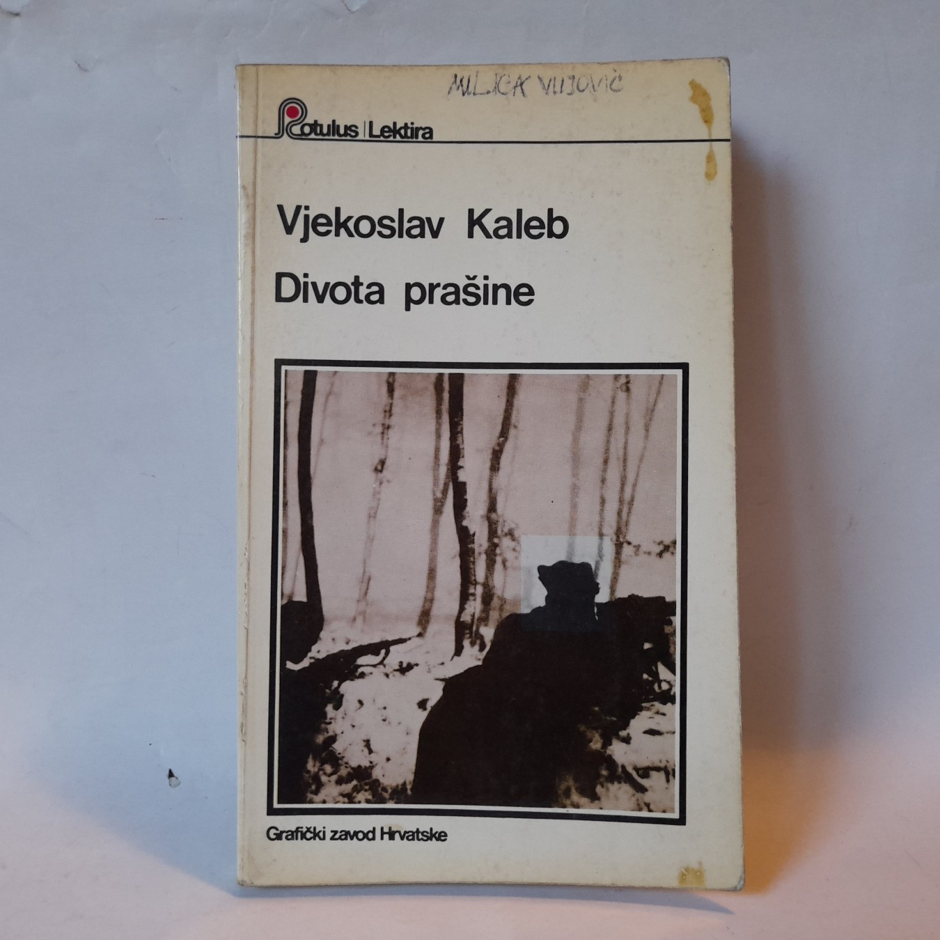 Divota prašine — Vjekoslav Kaleb