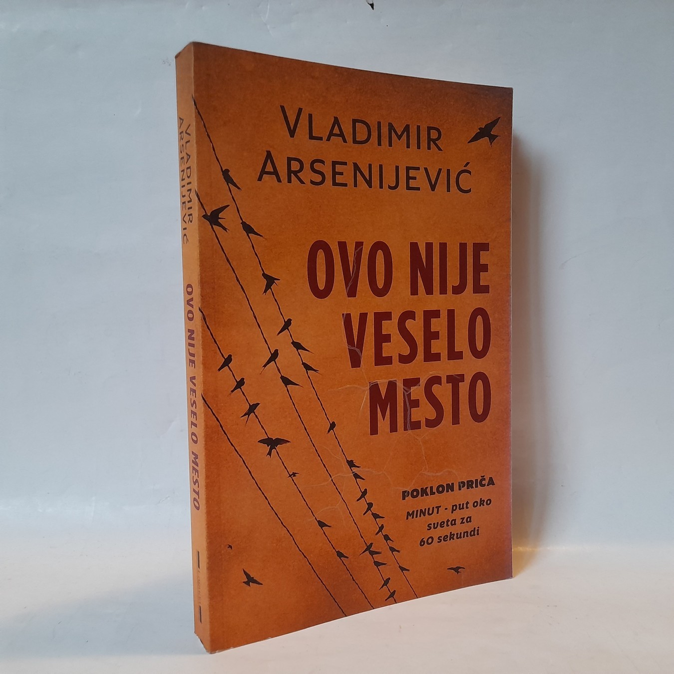 Ovo nije veselo mesto — Vladimir Arsenijević