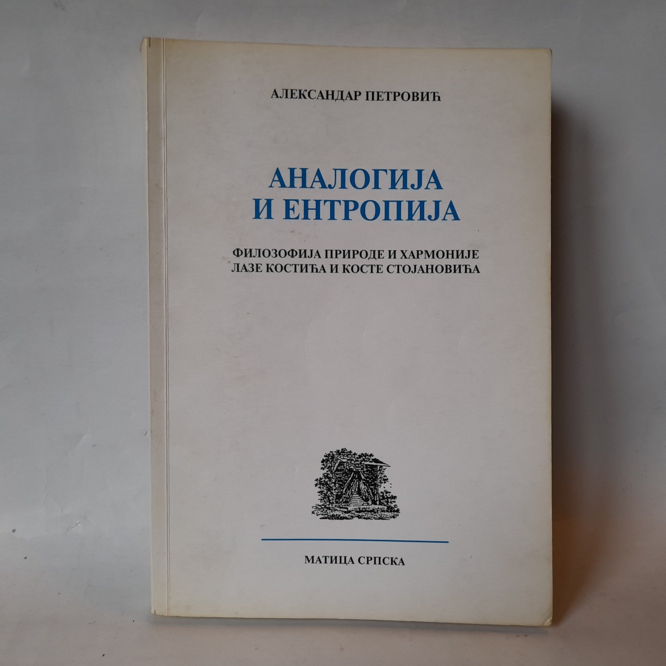 Analogija i entropija — Aleksandar Petrović