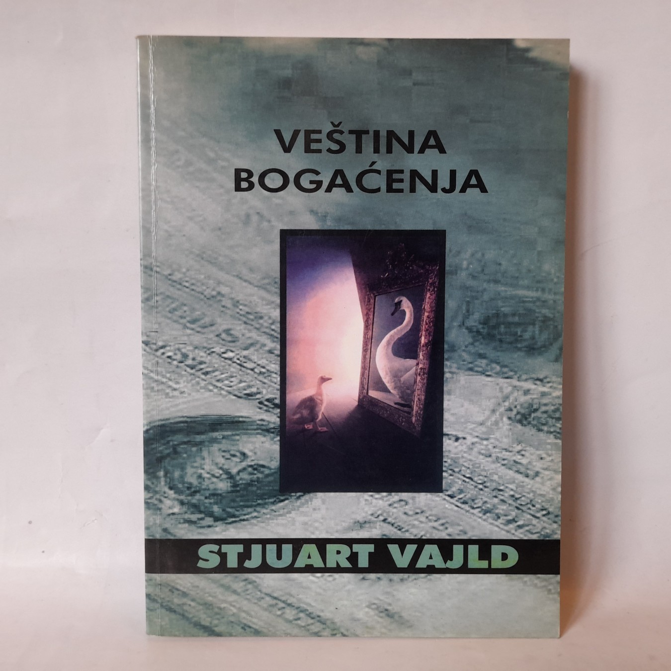 Veština bogaćenja — Stjuart Vajld