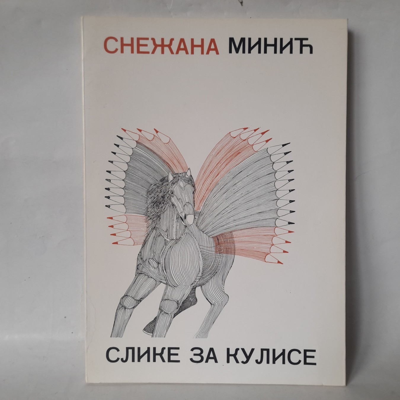 Slike za kulise — Snežana Minić