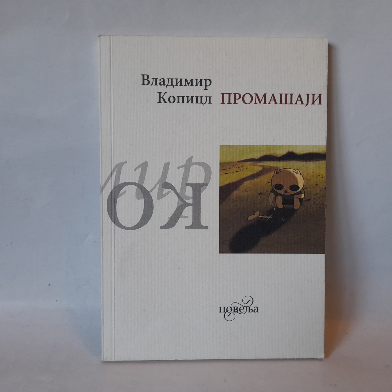 Promašaji — Vladimir Kopicl