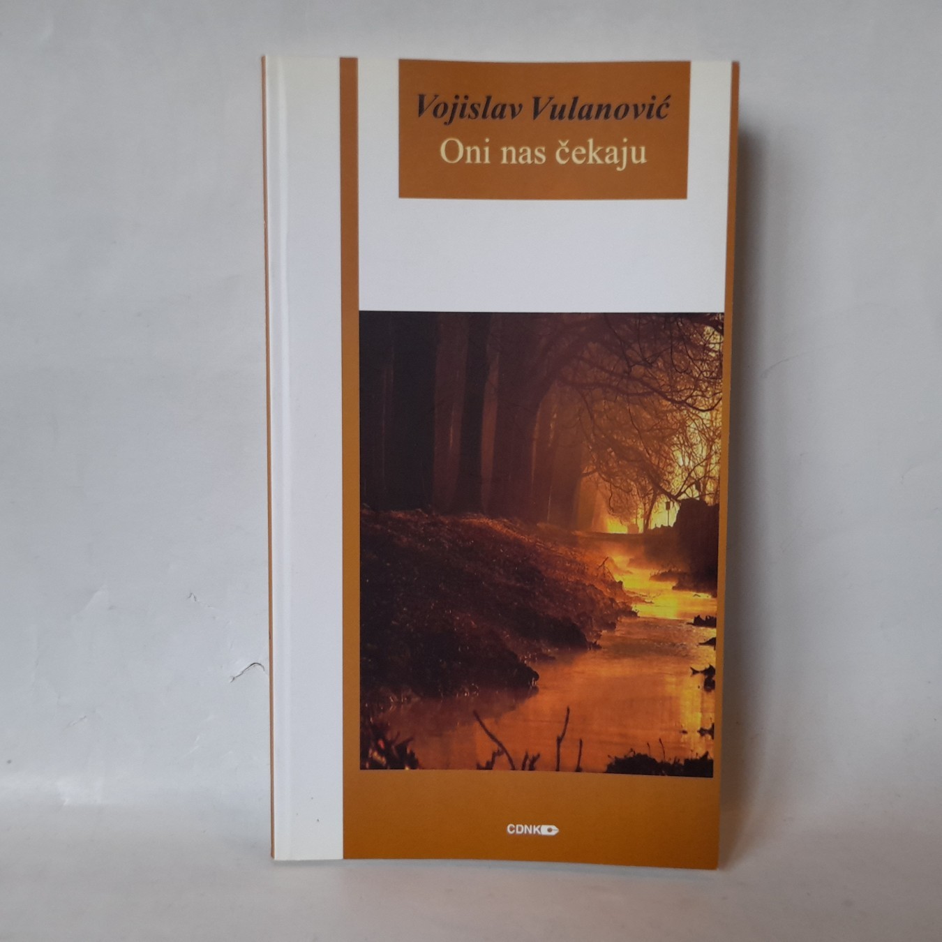 Oni nas čekaju — Vojislav Vulanović