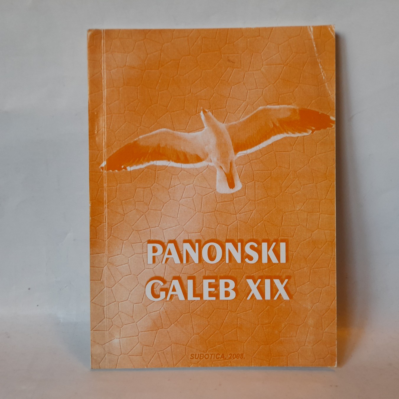 Panonski galeb
